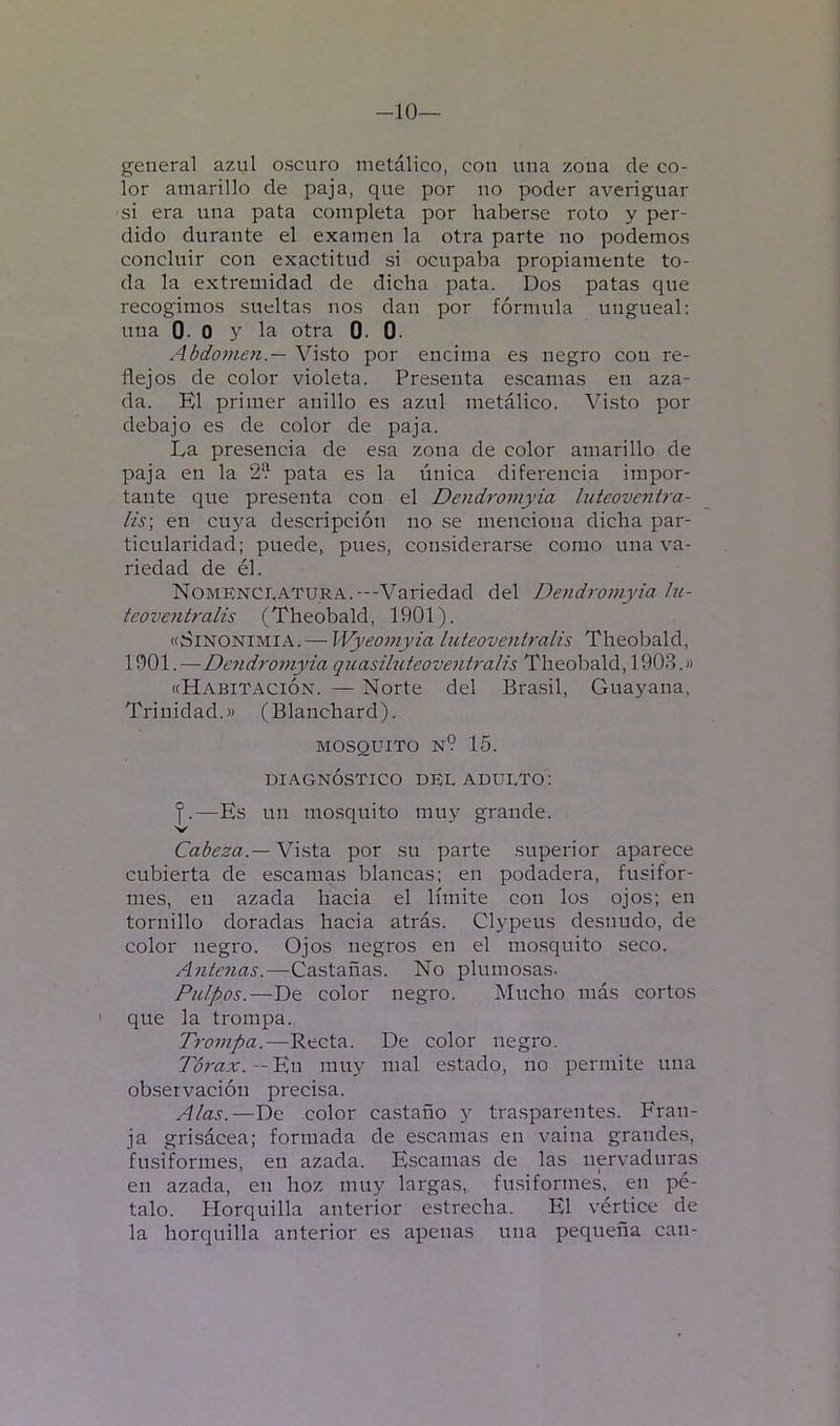 -10— general azul oscuro metálico, con una zona de co- lor amarillo de paja, que por no poder averiguar si era una pata completa por haberse roto y per- dido durante el examen la otra parte no podemos concluir con exactitud si ocupaba propiamente to- da la extremidad de dicha pata. 13os patas que recogimos sueltas nos dan por fórmula ungueal: una 0- 0 y la otra 0. 0. Abdomen.— Visto por encima es negro con re- flejos de color violeta. Presenta escamas en aza- da. El primer anillo es azul metálico. Visto por debajo es de color de paja. La presencia de esa zona de color amarillo de paja en la pata es la única diferencia impor- tante que presenta con el Deyidromyia luíeoventra- Hs] en cu)^ descripción no se menciona dicha par- ticularidad; puede, pues, considerarse como una va- riedad de él. Nomenci.atüra.—Variedad del Dendromyia lu- teove^itralis (Theobald, 1901). «Sinonimia. — Wyeomyia luteoventralis Theobald, 1901.—Dend^'omyia qiiasiluteovenb'alü Theobald, 1903.» «Habitación. — Norte del Brasil, Guayana, Trinidad.» (Blanchard). MOSQUITO n9 15. DIAGNÓSTICO DHL adulto: —Es un mosquito muy grande. Cabeza.— Vi.sta por su parte superior aparece cubierta de escamas blancas; en podadera, fusifor- mes, en azada hacia el límite con los ojos; en tornillo doradas hacia atrás. Clypeus desnudo, de color negro. Ojos negros en el mo.squito seco. Antenas.—Castañas. No plumosas. Pulpos.—De color negro. Mucho más cortos que la trompa. Trompa.—Recta. De color negro. Tórax.—muy mal estado, no permite una observación precisa. Alas.—De color castaño y trasparentes. Fran- ja grisácea; formada de escamas en vaina grandes, fusiformes, en azada. Escamas de las nervaduras en azada, en hoz muy largas, fusiformes, en pé- talo. Horquilla anterior estrecha. El vértice de la horquilla anterior es apenas una pequeña can-