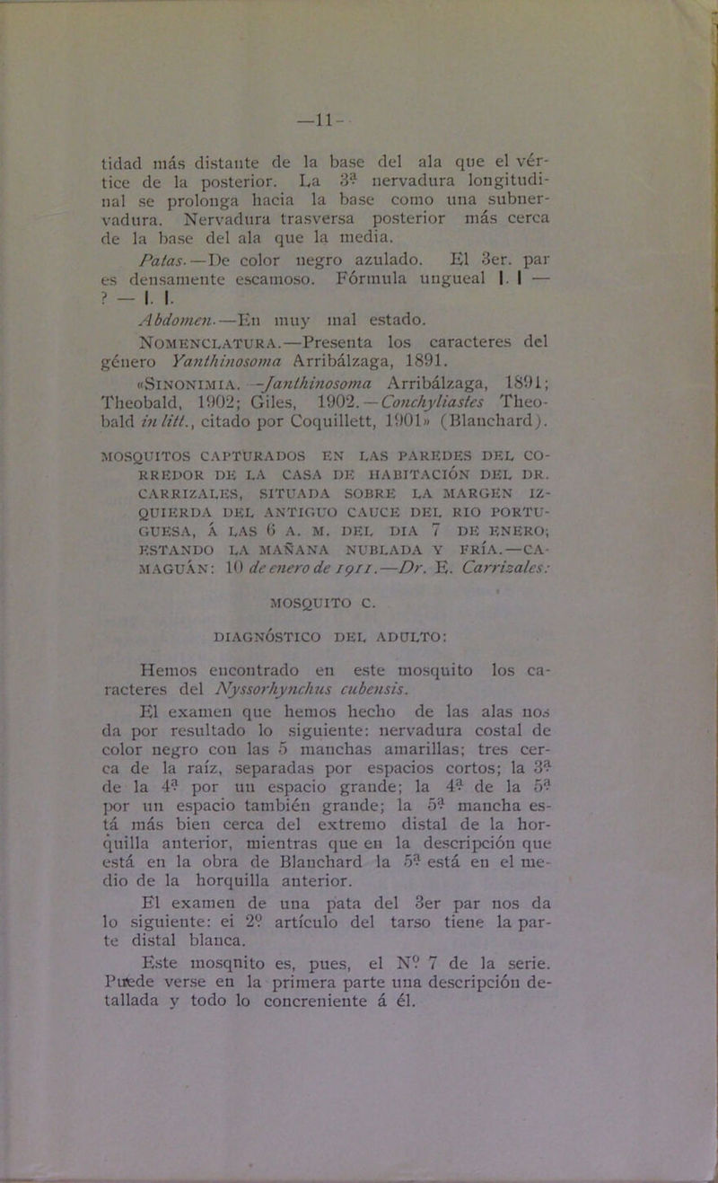 -11- lidad más distante de la base del ala que el vér- tice de la posterior. La 3? nervadura longitudi- nal .se prolonga hacia la base como una subner- vadura. Nervadura trasversa posterior más cerca de la base del ala que la media. Palas.—T)q color negro azulado. El Ser. pal- es densamente escamoso. Fórmula ungueal |. I — ? — I. I. Abdomen-—En muy mal estado. Nomenclatura.—Pre.senta los caracteres del género Yanthhiosoma Arribálzaga, 1891. «Sinonimia. —Janthinosoma Arribálzaga, 1891; Theobald, 1902; Giles, ISiO^. — Conchyliasles Theo- bald///ó, citado por Coquillett, 1901» (Blanchard). MOSQUITOS capturados EN LAS PAREDES DEL CO- RREDOR DE LA CASA DE HAUITACION DEL DR. CARRIZALES, SITUAD.^ SOBRE LA MARGEN IZ- QUIERDA DEL ANTIGUO CAUCE DEL RIO PORTU- GUESA, Á LAS (> A. M. DEL DIA 7 DE PINERO; ESTANDO LA MAÑANA NUBLADA Y ERÍA.—CA- .m.\gu.\n: \() deenerode igii.—Dr. E. Carrizales: MOSQUITO C. DIAGNÓSTICO DEL ADULTO: Hemos encontrado en este mosquito los ca- racteres del Nyssorhynclms cubensis. F)1 examen que hemos hecho de las alas nos da por resultado lo siguiente: nervadura costal de color negro con las 5 manchas amarillas; tres cer- ca de la raíz, separadas por espacios cortos; la 3?^ de la 4^ por un espacio grande; la ^ de la 5? ])or un espacio también grande; la 5?^ mancha es- tá más bien cerca del extremo distal de la hor- quilla anterior, mientras que en la de.scripción que está en la obra de Blanchard la 5^ está en el me- dio de la horquilla anterior. El examen de una pata del Ser par nos da lo .siguiente: ei 29 artículo del tarso tiene la par- te distal blanca. E.ste mosquito es, pues, el N9 7 de la serie. Puede ver.se en la primera parte una descripción de- tallada y todo lo concreniente á él.