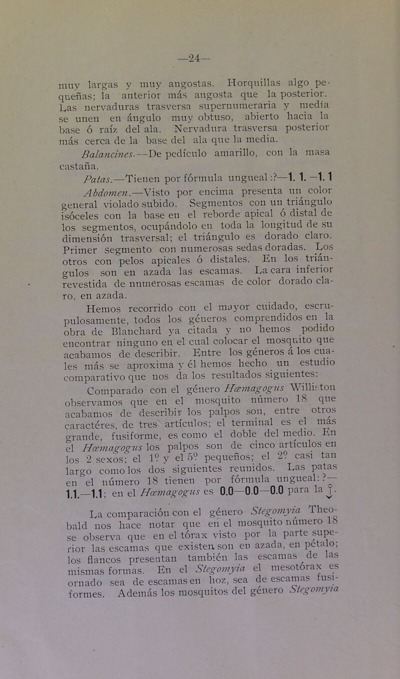 —24- rnuy largas y muy angostas. Horquillas algo pe- queñas; la anterior más angosta que la posterior. Las nervaduras trasversa supernumeraria y media se unen en ángulo muy obtuso, abierto hacia la ba.se ó raíz del ala. Nervadura trasversa posterior más cerca de la base del ala que la media. Balancines-—De pedículo amarillo, con la masa castaña. /’flz'aí.—Tienen por fórmula ungueal:?—1. 1. —1.1 Abdomen.—Visto por encima presenta un color general violado subido. Segmentos con un triángulo isóceles con la base en el reborde apical ó distal de los segmentos, ocupándolo en toda la longitud de su dimen.sión trasversal; el triángulo es dorado claro. Primer segmento con numerosas sedas doradas. Dos otros con pelos apicales o distales. En los trián- gulos son en azada las e.scamas. La cara inferior revestida de nnmOrosas escama.s de color dorado cla- ro, en azada. Hemos recorrido con el mayor cuidado, escru- pulosamente, todos los géneros comprendidos en ^ la obra de Blanchard ya citada y no hemos podido encontrar ninguno en el cual colocar el mosquito que acabamos de describir. Entre los géneros á los cua- les más se aproxima j' él hemos hecho ^ un estudio comparativo que nos da los resultados siguientes. Comparado con el género Hcemagogus Willirton observamos que en el mo.squito número 18 que acabamos de describir los palpos son, entre otros caractéres, de tres artículos; el terminal es el nms o-rande, fusiforme, es como el doble del medio. En el Hceviagogtis los palpos son de cinco artículos en los 2 sexos; el 19 y el 59 pequeños; el 29 casi tan largo como los dos siguientes reunidos. Las patas en el número 18 tienen por formula ungueal. ? — 11_ 11; en el Hoeniagog^is es 0.0—0.0—0.0 para la La comparación con el género Stegomyia Theo^ bald nos hace notar que en el mo.squito numero 18 se observa que en el tórax visto por la parte supe- rior las escamas que exi.sten .son en azada, en petalo; los flancos presentan también las escamas ^ de las mismas formas. En el Stegomyia el mesotorax es ornado sea de escamasen hoz, sea de escamas tusi- formes. Además los mosquitos del género Stegomyia