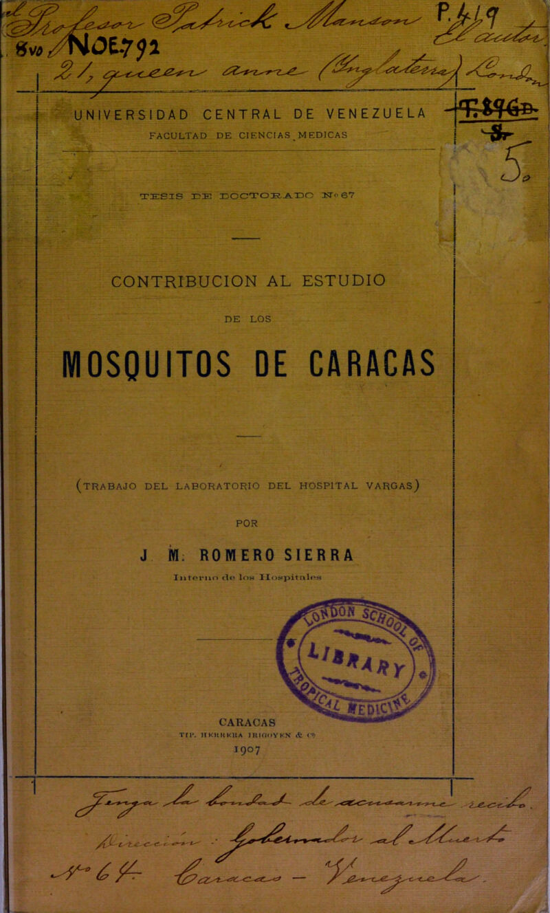 UNIVERSIDAD CENTRAL DE VENEZUELA FACULTAD DE CIENCIAS MEDICAS TDESIS XJE Ij0CTOI?,AT3O ITp 67 CONTRIBUCION AL ESTUDIO DE LOS MOSQUITOS DE CARACAS (tRABAJO DEL LABORATORIO DEL HOSPITAL VARGAS) POR J M. ROMERO SIERRA Iiitorno tic* loH llot>pitr\W‘s CARACAS TM-. nKHKKUA lUKIllYKN & rn 1907 ' A 5^