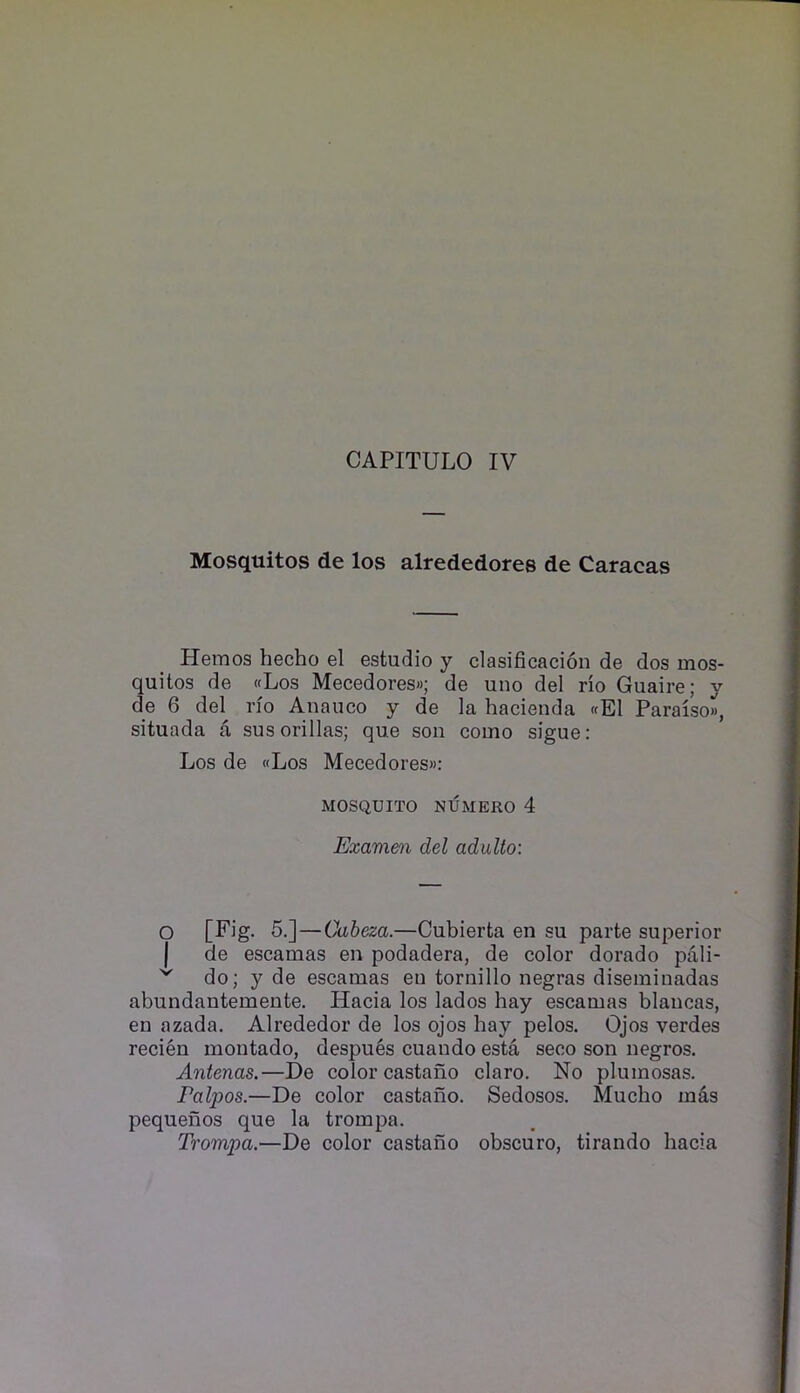 CAPITULO IV Mosquitos de los alrededores de Caracas Hemos hecho el estudio y clasificacion de dos mos- quitos de «Los Mecedoresw; de uno del no Guaire; y de 6 del rio Anauco y de la hacienda «E1 Paraiso», situada a susorillas; que son como sigue; Los de «Los Mecedores»: MOSQUITO NUMERO 4 Examm del aduUo: O [Fig- 5.] — Oabeza.—Cubierta en su parte superior ( de escamas en podadera, de color dorado pali- do; y de escamas en tornillo negras diseminadas abundantemente. Hacia los lados hay escamas blancas, en azada. Alrededor de los ojos hay pelos. Ojos verdes recien montado, despu^s cuando esta seco son negros. Antenas.—De color castano claro. No plumosas. Palpos.—De color castano. Sedosos. Mucho mds pequenos que la trompa. Trompa.—De color castano obscuro, tirando hacia