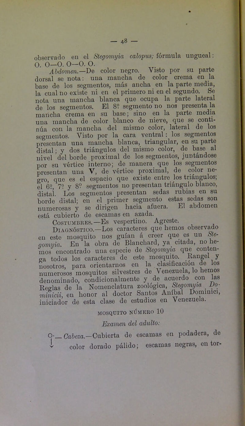 observado en el Stegomyia calopus; formula ungueal: 0. 0—0. 0—0. O. Abdomen.—De color negro. Visto por su parte dorsal se nota: una mancha de color crema en la base de los segmentos, mas ancha en la parte media, la cual ho existe ni en el primero ni en el segundo. Se nota una mancha blanca que ocupa la parte lateral de los segmentos. El 89 segmento no nos presenta la mailcha crema en su base; sino en la parte media una mancha de color bianco de nieve, que se conti- nua con la mancha del mismo color, lateral de los segmentos. Visto por la cara veritral: los segmentos presentan una mancha blanca, triangular, en su parte distal; y dos triangulos del mismo color, de base al nivel del horde proximal de los segmentos, juntandose por su vertice interno; de mauera que los segmentos presentan una V, de vertice proximal, de color ne- gro, que es el espacio que existe entre los triangulos; el 69, 79 y 89 segmentos no presentan triangulo bianco, distai. Los segmentos presentan sedas rubias en su horde distal; en el primer segmento estas sedas son numerosas y se dirigen hacia afuera. El abdomen esta cubierto de escamas en azada. COSTUMBRES.—Es vespertino. Agreste. Diagnostico.—Los caractems que hemos observado en este mosquito nos guian a creer que es uu Ste- gomvia. En la obra de Blanchard, ya_ citada, no he- mos encontrado una especie de Stegomyia que conten- ga todos los caracteres de este mosquito. Rangel y nosotros, para orientarnos en la clasificacion de los numerosos mosquitos silvestres de Venezuela, lo heinos denominado, coudicionalmente y de acuerdo con las Refflas de la Nomenclatura zoologica, Stegomyia _ DO' minicii, en honor al doctor Santos Anfbal Dommici, iniciador de esta clase de estudios en Venezuela. MOSQUITO NUMKRO 10 Examen del adulto: 0-_ Ca&eza.—Oubierta de escamas en podadera, de ^ color dorado palido; escamas negras, en tor-