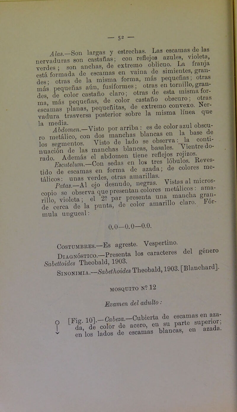 Alas.—^on largas y estrechas. Las escamas de las nervaduras son castanas; con reflejos azules, violeta, verdes ; son anchas, de extremo obhcuo. La franja esta formada de escamas en vaina de simientes, gran- des- otras de la misma forma, mas pequenas; otra mas pequenas aun, fusiformes ; otras en tornillo, gran- des de^color castano claro; otras de esta misma for- ma mas pequenas, de color castano obscuro; otras Scamas planas, pequefiitas, de extremo convexo. Ne - vadura trasversa posterior sobre la misma Imea que '“i6domen.-Visto P«r arriba : es de color azulobs^^^ ro metalico, con dos manchas blancas en J^ase los sesmentos. Visto de lado se observa: la conti- nuacidn de las manchas blancas, basales. Vientredo rado. Ademas el abdomen tiene reflejos rojiz • Escutelum.-Con sedas en los tres tido de escamas en forma de azada, de Vistes al micros- copio se observa que presentau coloves araa- rillo, violeta; el 29 par “Tro F6r- de cerca de la punta, de color amarillo claro. mula ungueal: 0.0-0.0—0.0. COSTUMBRES.—Es agreste. Vespertino. Diagnostico.—Presenta los caracteres del genero Sabettoides Theobald, 1903. SrvnNiMlA.-SaieJftoicies Theobald, 1903. [Bkuchard], MOSQUITO 12 Examen del adulto: 0 1 V' 10].-Catea.-Cubierta de <=soamas en asa- ■ de color de acero, en su P^'^e “upenor, los lados de escamas blancas, ei