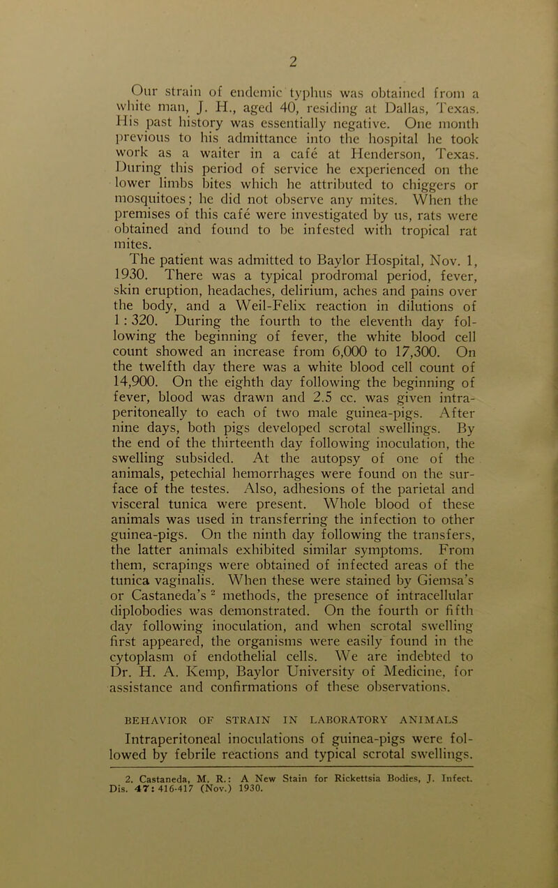 Our strain of endemic typhus was obtained from a white man, J. H., aged 40, residing at Dallas, Texas. His past history was essentially negative. One month previous to his admittance into the hospital he took work as a waiter in a cafe at Henderson, Texas. 1 hiring this period of service he experienced on the lower limbs bites which he attributed to chiggers or mosquitoes; he did not observe any mites. When the premises of this cafe were investigated by us, rats were obtained and found to be infested with tropical rat mites. The patient was admitted to Baylor Hospital, Nov. 1, 1930. There was a typical prodromal period, fever, skin eruption, headaches, delirium, aches and pains over the body, and a Weil-Felix reaction in dilutions of 1: 320. During the fourth to the eleventh day fol- lowing the beginning of fever, the white blood cell count showed an increase from 6,000 to 17,300. On the twelfth day there was a white blood cell count of 14,900. On the eighth day following the beginning of fever, blood was drawn and 2.5 cc. was given intra- peritoneally to each of two male guinea-pigs. After nine days, both pigs developed scrotal swellings. By the end of the thirteenth day following inoculation, the swelling subsided. At the autopsy of one of the animals, petechial hemorrhages were found on the sur- face of the testes. Also, adhesions of the parietal and visceral tunica were present. Whole blood of these animals was used in transferring the infection to other guinea-pigs. On the ninth day following the transfers, the latter animals exhibited similar symptoms. From them, scrapings were obtained of infected areas of the tunica vaginalis. When these were stained by Giemsa’s or Castaneda’s 2 methods, the presence of intracellular diplobodies was demonstrated. On the fourth or fifth day following inoculation, and when scrotal swelling first appeared, the organisms were easily found in the cytoplasm of endothelial cells. We are indebted to Dr. H. A. Kemp, Baylor University of Medicine, for assistance and confirmations of these observations. BEHAVIOR OF STRAIN IN LABORATORY ANIMALS Intraperitoneal inoculations of guinea-pigs were fol- lowed by febrile reactions and typical scrotal swellings. 2. Castaneda, M. R.: A New Stain for Rickettsia Bodies, J. Infect. Dis. 47:416-417 (Nov.) 1930.