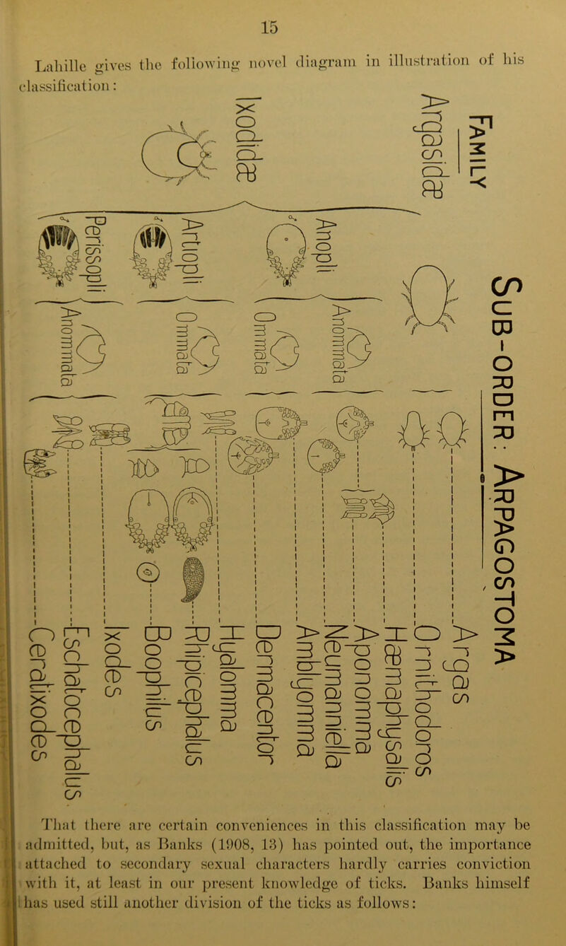 Lahille «nves the following novel diagram in illustration of his to classification: CD CD □□ e ^ 3 £5^3 QJ Oo ed 3 3 3 OQJ O Qj ID =5 3-0 = 3 § =r 3 eh 3 cc Qj = 3 CP Qj CD CP That there are certain conveniences in this classification may be admitted, but, as Banks (1908, 13) has pointed out, the importance attached to secondary sexual characters hardly carries conviction with it, at least in our present knowledge of ticks. Banks himself has used still another division of the ticks as follows: