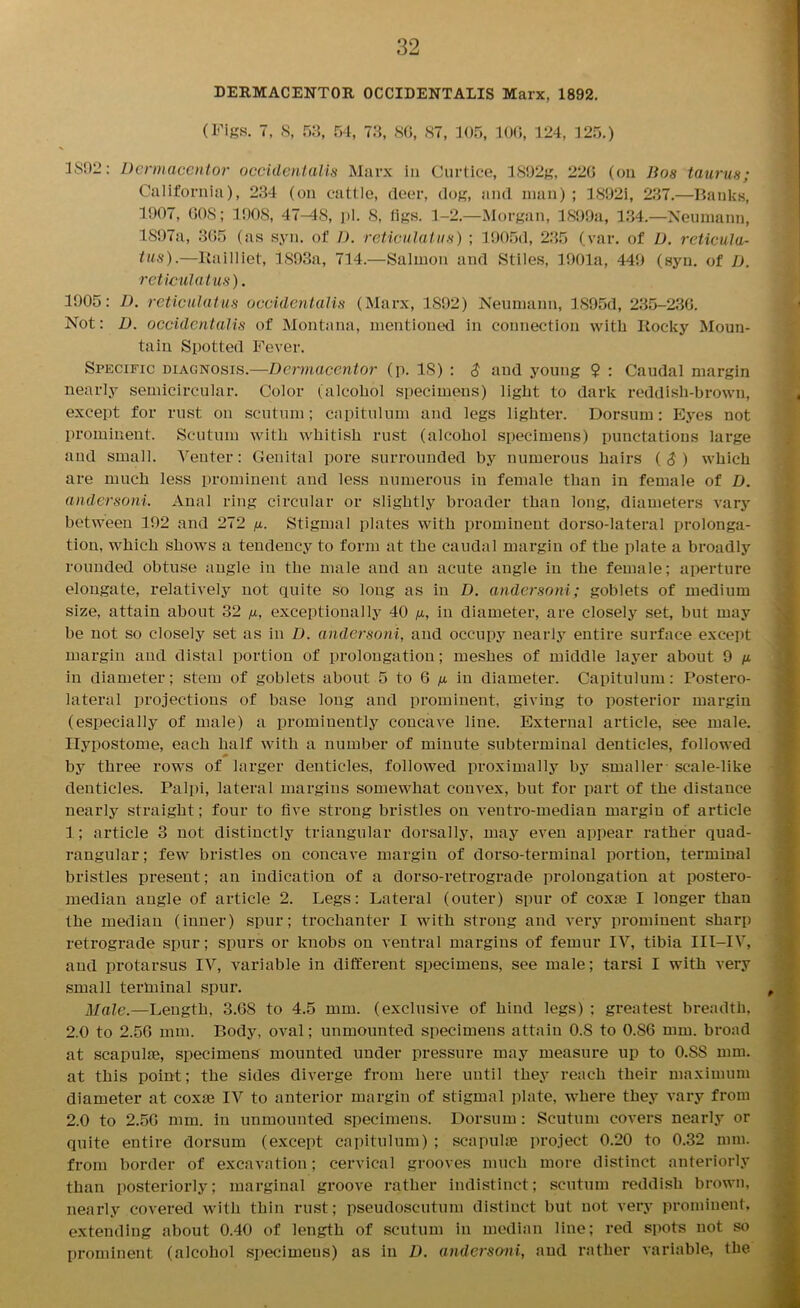 DERMACENTOR OCCIDENTALIS Marx, 1892. (Figs. 8, 53, 54, 73, SC, 87, 105, 106, 124, 125.) 1802: Dermacentor occidentalis Marx in Curtice, 1892g, 220 (on Bos taurus; California), 234 (on cattle, deer, dog, and man) ; 1892i, 237.—Banks, 1907, GOS; 190S, 47-48, pi. S, tigs. 1-2.—Morgan, 1899a, 134.—Neumann, 1897a, 365 (as syn. of D. reticulaius) ; 1905d, 235 (var. of IJ. reticula- tus).—Itailliet, 1893a, 714.—Salmon and Stiles, 1901a, 449 (syn. of IJ. reticulaius). 1905: IJ. retieulatus occidentalis (Marx, 1S92) Neumann, 1895d, 235-236. Not: D. occidentalis of Montana, mentioned in connection with Rocky Moun- tain Spotted Fever. Specific diagnosis.—Dermacentor (p. IS) : $ and young $ : Caudal margin nearly semicircular. Color (alcohol specimens) light to dark reddish-brown, except for rust on scutum; capitulum and legs lighter. Dorsum: Eyes not prominent. Scutum with whitish rust (alcohol specimens) punctations large and small. Venter: Genital pore surrounded by numerous hairs (3) which are much less prominent and less numerous in female than in female of D. andersoni. Anal ring circular or slightly broader than long, diameters vary between 192 and 272 g. Stigmal plates with prominent dorso-lateral prolonga- tion, which shows a tendency to form at the caudal margin of the plate a broadly rounded obtuse angle in the male and an acute angle in the female; aperture elongate, relatively not quite so long as in D. andersoni; goblets of medium size, attain about 32 g, exceptionally 40 g, in diameter, are closely set, but may be not so closely set as in D. andersoni, and occupy nearly entire surface except margin and distal portion of prolongation; meshes of middle layer about 9 g in diameter; stem of goblets about 5 to 6 g in diameter. Capitulum: Postero- lateral projections of base long and prominent, giving to posterior margin (especially of male) a prominently concave line. External article, see male. Ilypostome, each half with a number of minute subterminal denticles, followed * by three rows of larger denticles, followed proximally by smaller - scale-like denticles. Palpi, lateral margins somewhat convex, but for part of the distance nearly straight; four to five strong bristles on ventro-median margin of article 1; article 3 not distinctly triangular dorsally, may even appear rather quad- rangular ; few bristles on concave margin of dorso-terminal portion, terminal bristles present; an indication of a dorso-retrograde prolongation at postero- median angle of article 2. Legs: Lateral (outer) spur of coxae I longer than the median (inner) spur; trochanter I with strong and very prominent sharp retrograde spur; spurs or knobs on ventral margins of femur IV, tibia III-IV, and protarsus IV, variable in different specimens, see male; tarsi I with very small terminal spur. Male.—Length, 3.68 to 4.5 mm. (exclusive of hind legs) ; greatest breadth, 2.0 to 2.56 mm. Body, oval; unmounted specimens attain 0.S to 0.86 mm. broad at scapulae, specimens mounted under pressure may measure up to 0.S8 mm. at this point; the sides diverge from here until they reach their maximum diameter at coxae IV to anterior margin of stigmal plate, where they vary from 2.0 to 2.56 mm. in unmounted specimens. Dorsum: Scutum covers nearly or quite entire dorsum (except capitulum) ; scapulae project 0.20 to 0.32 mm. from border of excavation; cervical grooves much more distinct anteriorly than posteriorly; marginal groove rather indistinct; scutum reddish brown, nearly covered with thin rust; pseudoscutum distinct but not very prominent, extending about 0.40 of length of scutum in median line; red spots not so prominent (alcohol specimens) as in D. andersoni, and rather variable, the