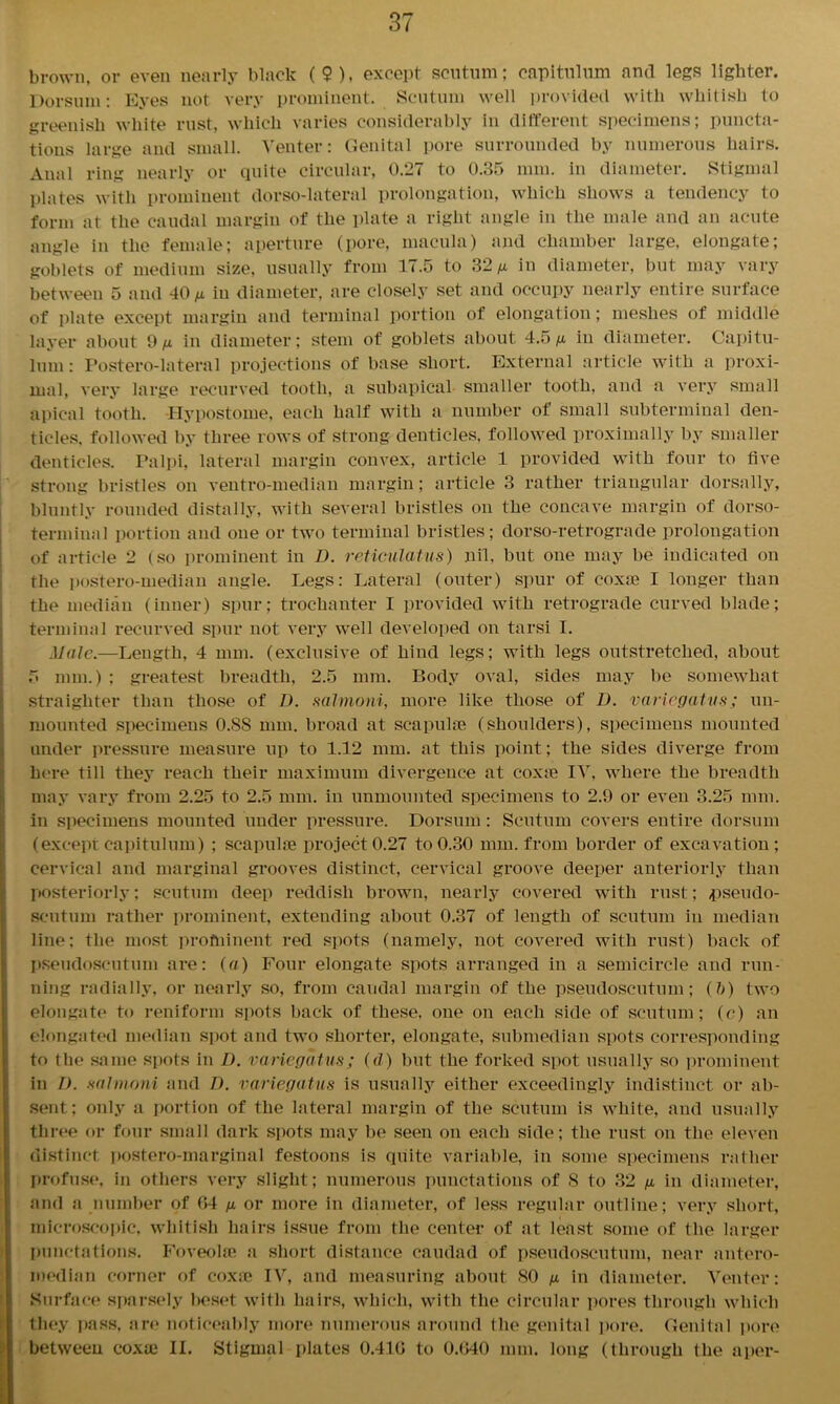 brown, or even nearly black (9). except scutum; capitulum and legs lighter. Dorsum: Eyes not very prominent. Scutum well provided with whitish to greenish white rust, which varies considerably in different specimens; puncta- tions large and small. Venter: Genital pore surrounded by numerous hairs. Anal ring nearly or quite circular, 0.27 to 0.35 mm. in diameter. Stigmal plates with prominent dorso-lateral prolongation, which shows a tendency to form at the caudal margin of the plate a right angle in the male and an acute angle in the female; aperture (pore, macula) and chamber large, elongate; goblets of medium size, usually from 17.5 to 32 m in diameter, but may vary between 5 and 40 m iu diameter, are closely set and occupy nearly entire surface of plate except margin and terminal portion of elongation; meshes of middle layer about 9m hi diameter; stem of goblets about 4.5m in diameter. Capitu- lum : Postero-lateral projections of base short. External article with a proxi- mal, very large recurved tooth, a subapical smaller tooth, and a very small apical tooth. -Hypostome, each half with a number of small subterminal den- ticles, followed by three rows of strong denticles, followed proximally by smaller denticles. Palpi, lateral margin convex, article 1 provided with four to five strong bristles on ventro-median margin; article 3 rather triangular dorsally, bluntly rounded distally, with several bristles on the concave margin of dorso- terminal portion and one or two terminal bristles; dorso-retrograde prolongation of article 2 (so prominent in D. reticulatus) nil, but one may be indicated on the postero-median angle. Legs: Lateral (outer) spur of coxae I longer than the median (inner) spur; trochanter I provided with retrograde curved blade; terminal recurved spur not very well developed on tarsi I. Male.—Length, 4 mm. (exclusive of hind legs; with legs outstretched, about 5 mm.) ; greatest breadth, 2.5 mm. Body oval, sides may be somewhat straighter than those of D. salmoni, more like those of D. variegatus; un- mounted specimens 0.S8 mm. broad at scapulae (shoulders), specimeus mounted under pressure measure up to 1.12 mm. at this point; the sides diverge from here till they reach their maximum divergence at coxie IV, where the breadth may vary from 2.25 to 2.5 mm. in unmounted specimens to 2.9 or even 3.25 mm. in specimens mounted under pressure. Dorsum: Scutum covers entire dorsum (exceptCapitulum) ; scapulae project0.27 to0.30 mm. from border of excavation; cervical and marginal grooves distinct, cervical groove deeper anteriorly than posteriorly; scutum deep reddish brown, nearly covered with rust; pseudo- scutum rather prominent, extending about 0.37 of length of scutum iu median line; the most profninent red spots (namely, not covered with rust) back of pseudoscutum are: (a) Four elongate spots arranged in a semicircle and run- ning radially, or nearly so, from caudal margin of the pseudoscutum; (b) two elongate to reniform spots back of these, one on each side of scutum; (e) an elongated median spot and two shorter, elongate, submedian spots corresponding to the same spots in D. variegatus; (d) but the forked spot usually so prominent in I), salmoni and D. variegatus is usually either exceedingly indistinct or ab- sent; only a portion of the lateral margin of the scutum is white, and usually three or four small dark spots may be seen on each side; the rust on the eleven distinct postero-marginal festoons is quite variable, in some specimens rather profuse, in others very slight; numerous puuctations of 8 to 32 m hi diameter, and a number of 04 m or more in diameter, of less regular outline; very short, microscopic, whitish hairs issue from the center of at least some of the larger puuctations. Foveohe a short distance eaudad of pseudoscutum, near antero- median corner of coxre IV, and measuring about 80 m in diameter. Venter: Surface sparsely beset with hairs, which, with the circular pores through which they pass, are noticeably more numerous around the genital pore. Genital pore between coxaj II. Stigmal plates 0.410 to 0.<>40 mm. long (through the a per-