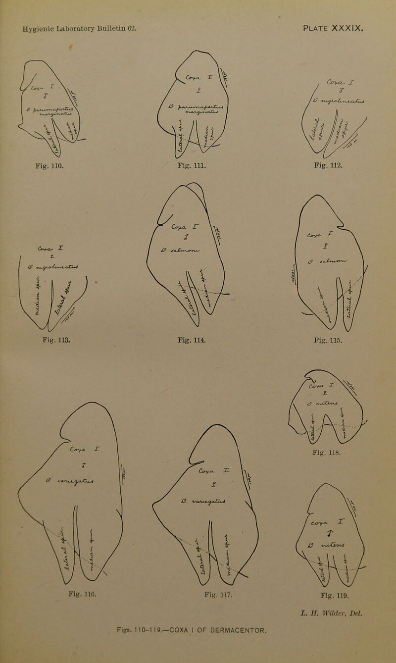 Fig. 110. -ZT