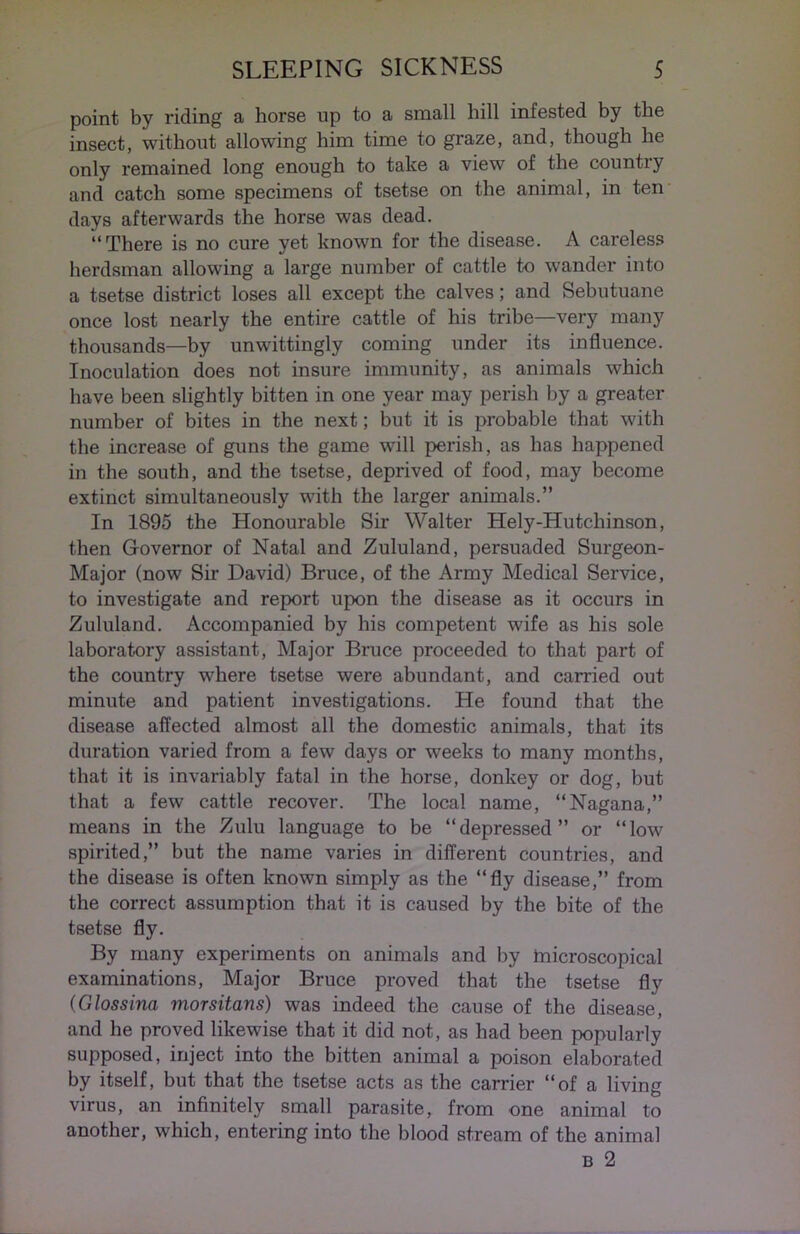 point by riding a horse up to a small hill infested by the insect, without allowing him time to graze, and, though he only remained long enough to take a view of the country and catch some specimens of tsetse on the animal, in ten days afterwards the horse was dead. “There is no cure yet known for the disease. A careless herdsman allowing a large number of cattle to wander into a tsetse district loses all except the calves; and Sebutuane once lost nearly the entire cattle of his tribe—very many thousands—by unwittingly coming under its influence. Inoculation does not insure immunity, as animals which have been slightly bitten in one year may perish by a greater number of bites in the next; but it is probable that with the increase of guns the game will perish, as has happened in the south, and the tsetse, deprived of food, may become extinct simultaneously with the larger animals.” In 1895 the Honourable Sir Walter Hely-Hutchinson, then Governor of Natal and Zululand, persuaded Surgeon- Major (now Sir David) Bruce, of the Army Medical Service, to investigate and report upon the disease as it occurs in Zululand. Accompanied by his competent wife as his sole laboratory assistant, Major Bruce proceeded to that part of the country where tsetse were abundant, and carried out minute and patient investigations. He found that the disease affected almost all the domestic animals, that its duration varied from a few days or weeks to many months, that it is invariably fatal in the horse, donkey or dog, but that a few cattle recover. The local name, “Nagana,” means in the Zulu language to be “depressed” or “low spirited,” but the name varies in different countries, and the disease is often known simply as the “fly disease,” from the correct assumption that it is caused by the bite of the tsetse fly. By many experiments on animals and by tnicroscopical examinations, Major Bruce proved that the tsetse fly (Glossina morsitans) was indeed the cause of the disease, and he proved likewise that it did not, as had been popularly supposed, inject into the bitten animal a poison elaborated by itself, but that the tsetse acts as the carrier “of a living virus, an infinitely small parasite, from one animal to another, which, entering into the blood stream of the animal b 2