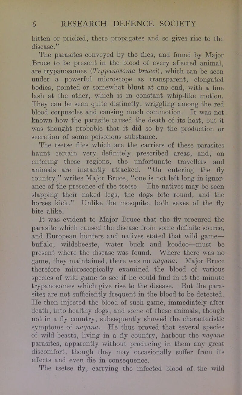bitten or pricked, there propagates and so gives rise to the disease.” The parasites conveyed by the flies, and found by Major Bruce to be present in the blood of every affected animal, are trypanosomes (Trypanosoma brucei), which can be seen under a powerful microscope as transparent, elongated bodies, pointed or somewhat blunt at one end, with a fine lash at the other, which is in constant whip-like motion. They can be seen quite distinctly, wriggling among the red blood corpuscles and causing much commotion. It was not known how the parasite caused the death of its host, but it was thought probable that it did so by the production or secretion of some poisonous substance. The tsetse flies which are the carriers of these parasites haunt certain very definitely prescribed areas, and, on entering these regions, the unfortunate travellers and animals are instantly attacked. “On entering the fly country,” writes Major Bruce, “one is not left long in ignor- ance of the presence of the tsetse. The natives may be seen slapping their naked legs, the dogs bite round, and the horses kick.” Unlike the mosquito, both sexes of the fly bite alike. It was evident to Major Bruce that the fly procured the parasite which caused the disease from some definite source, and European hunters and natives stated that wild game— buffalo, wildebeeste, water buck and koodoo—must be present where the disease was found. Where there was no game, they maintained, there was no nagana. Major Bruce therefore microscopically examined the blood of various species of wild game to see if he could find in it the minute trypanosomes which give rise to the disease. But the para- sites are not sufficiently frequent in the blood to be detected. He then injected the blood of such game, immediately after death, into healthy dogs, and some of these animals, though not in a fly country, subsequently showed the characteristic symptoms of nagana. He thus proved that several species of wild beasts, living in a fly country, harbour the nagana parasites, apparently without producing in them any great discomfort, though they may occasionally suffer from its effects and even die in consequence. The tsetse fly, carrying the infected blood of the wild