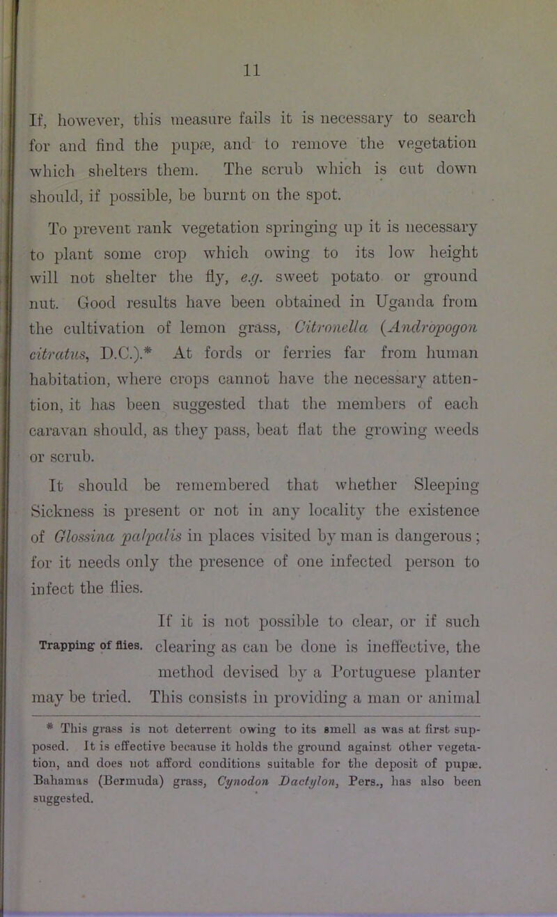 If, however, this measure fails it is necessary to search for and find the pupae, and to remove the vegetation which shelters them. The scrub which is cut down should, if possible, be burnt on the spot. To prevent rank vegetation springing up it is necessary to plant some crop which owing to its low height will not shelter the fly, e.g. sweet potato or ground nut. Good results have been obtained in Uganda from the cultivation of lemon grass, Citronellci (Andropogon citrcitus, D.C.).* At fords or ferries far from human habitation, where crops cannot have the necessary atten- tion, it has been suggested that the members of each caravan should, as they pass, beat fiat the growing weeds or scrub. It should be remembered that whether Sleeping Sickness is present or not in any locality the existence of Glossina pci/palis in places visited by man is dangerous ; for it needs only the presence of one infected person to infect the flies. If it is not possible to clear, or if such Trapping of flies, clearing as can be done is ineffective, the method devised by a Portuguese planter may be tried. This consists in providing a man or animal * This grass is not deterrent owing to its smell as was at first sup- posed. It is effective because it holds the ground against other vegeta- tion, and does not afford conditions suitable for the deposit of pupae. Bahamas (Bermuda) grass, Cynodon Dac/ylon, Pers., has also been suggested.