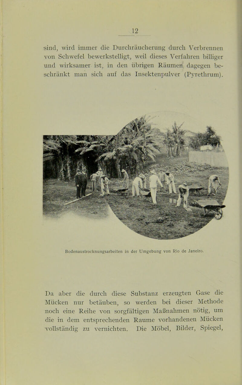 ■sind, wird immer die Durchräucherung durch Verbrennen von Schwefel bewerkstelligt, weil dieses Verfahren billiger und wirksamer ist, in den übrigen Räumen dagegen be- schränkt man sich auf das Insektenpulver (Pyrethrum). Bodenaustrocknungsarbeiten in der Umgebung von Rio de Janeiro. Da aber die durch diese Substanz erzeugten Gase die Mücken nur betäuben, so werden bei dieser Methode noch eine Reihe von sorgfältigen Maßnahmen nötig, um die in dem entsprechenden Raume vorhandenen Mücken vollständig zu vernichten. Die Möbel, Bilder, Spiegel,