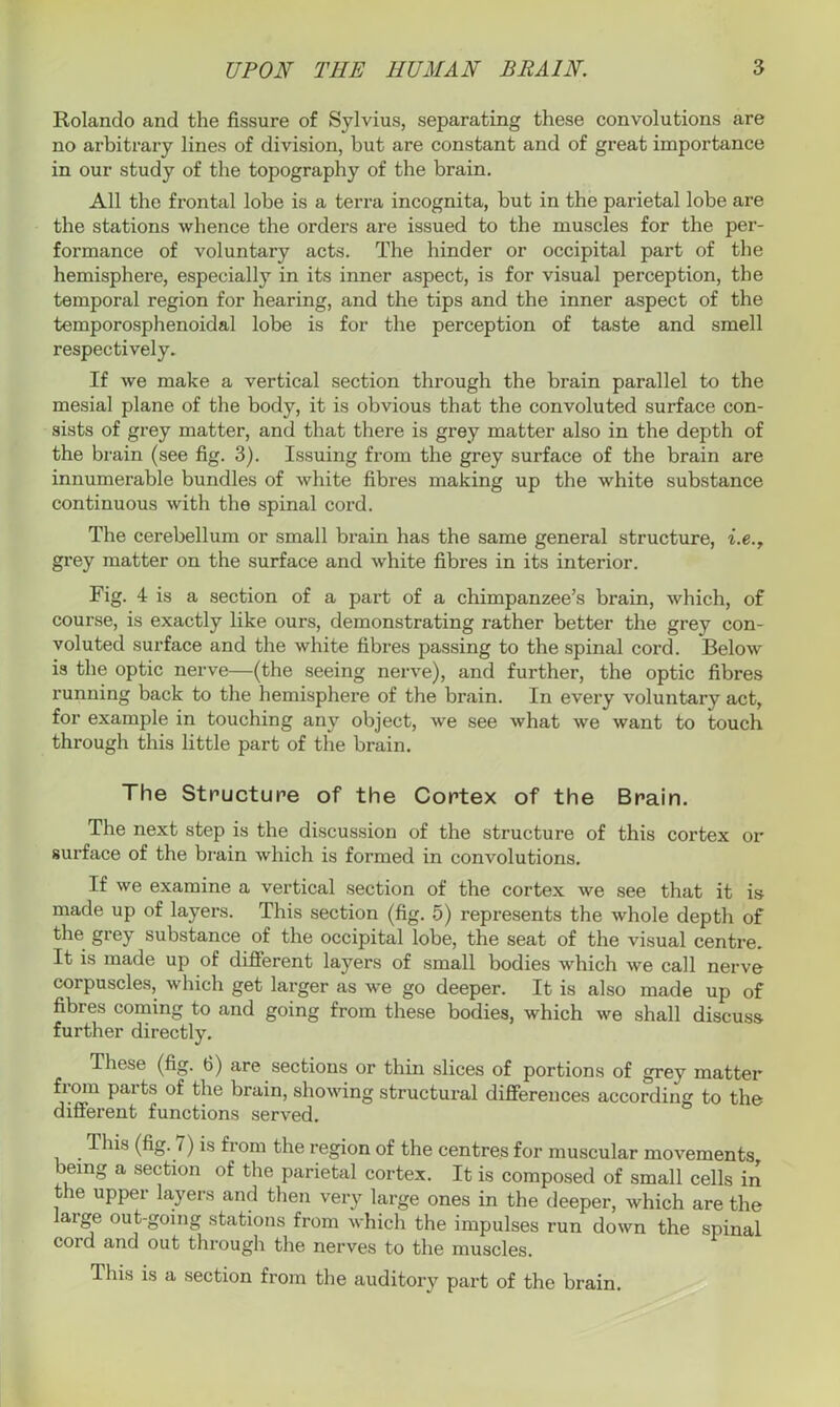Rolando and the fissure of Sylvius, separating these convolutions are no arbitrary lines of division, but are constant and of great importance in our study of the topography of the brain. All the frontal lobe is a terra incognita, but in the parietal lobe are the stations whence the orders are issued to the muscles for the per- formance of voluntary acts. The hinder or occipital part of the hemisphere, especially in its inner aspect, is for visual perception, the temporal region for hearing, and the tips and the inner aspect of the temporosphenoidal lobe is for the perception of taste and smell respectively. If we make a vertical section through the brain parallel to the mesial plane of the body, it is obvious that the convoluted surface con- sists of grey matter, and that there is grey matter also in the depth of the brain (see fig. 3). Issuing from the grey surface of the brain are innumerable bundles of white fibres making up the white substance continuous with the spinal cord. The cerebellum or small brain has the same general structure, i.e., grey matter on the surface and white fibres in its interior. Fig. 4 is a section of a part of a chimpanzee’s brain, which, of course, is exactly like ours, demonstrating rather better the grey con- voluted surface and the white fibres passing to the spinal cord. Below is the optic nerve—(the seeing nerve), and further, the optic fibres running back to the hemisphere of the brain. In every voluntary act, for example in touching any object, we see what we want to touch through this little part of the brain. The Structure of the Cortex of the Brain. The next step is the discussion of the structure of this cortex or surface of the brain which is formed in convolutions. Tf we examine a vertical section of the cortex we see that it is made up of layers. This section (fig. 5) represents the whole depth of the grey substance of the occipital lobe, the seat of the visual centre. It is made up of different layers of small bodies which we call nerve corpuscles, which get larger as we go deeper. It is also made up of fibres coming to and going from these bodies, which we shall discuss further directly. These (fig. 6) are sections or thin slices of portions of grey matter from parts of the brain, showing structural differences according to the different functions served. T his (fig. 7) is from the region of the centres for muscular movements )eing a section of the parietal cortex. It is composed of small cells in the upper layers and then very large ones in the deeper, which are the large out-going stations from which the impulses run down the spinal cord and out through the nerves to the muscles. This is a section from the auditory part of the brain.