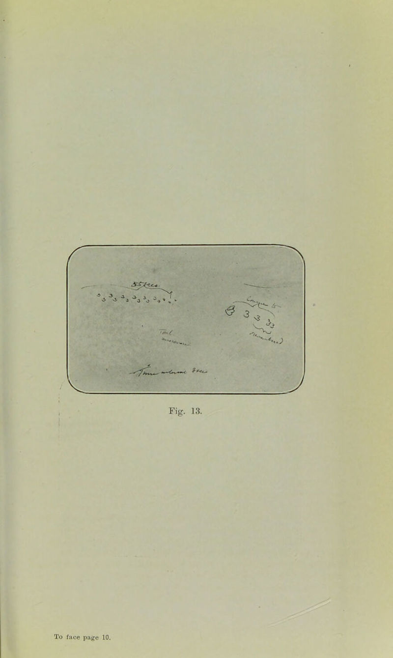 Fig. 13.