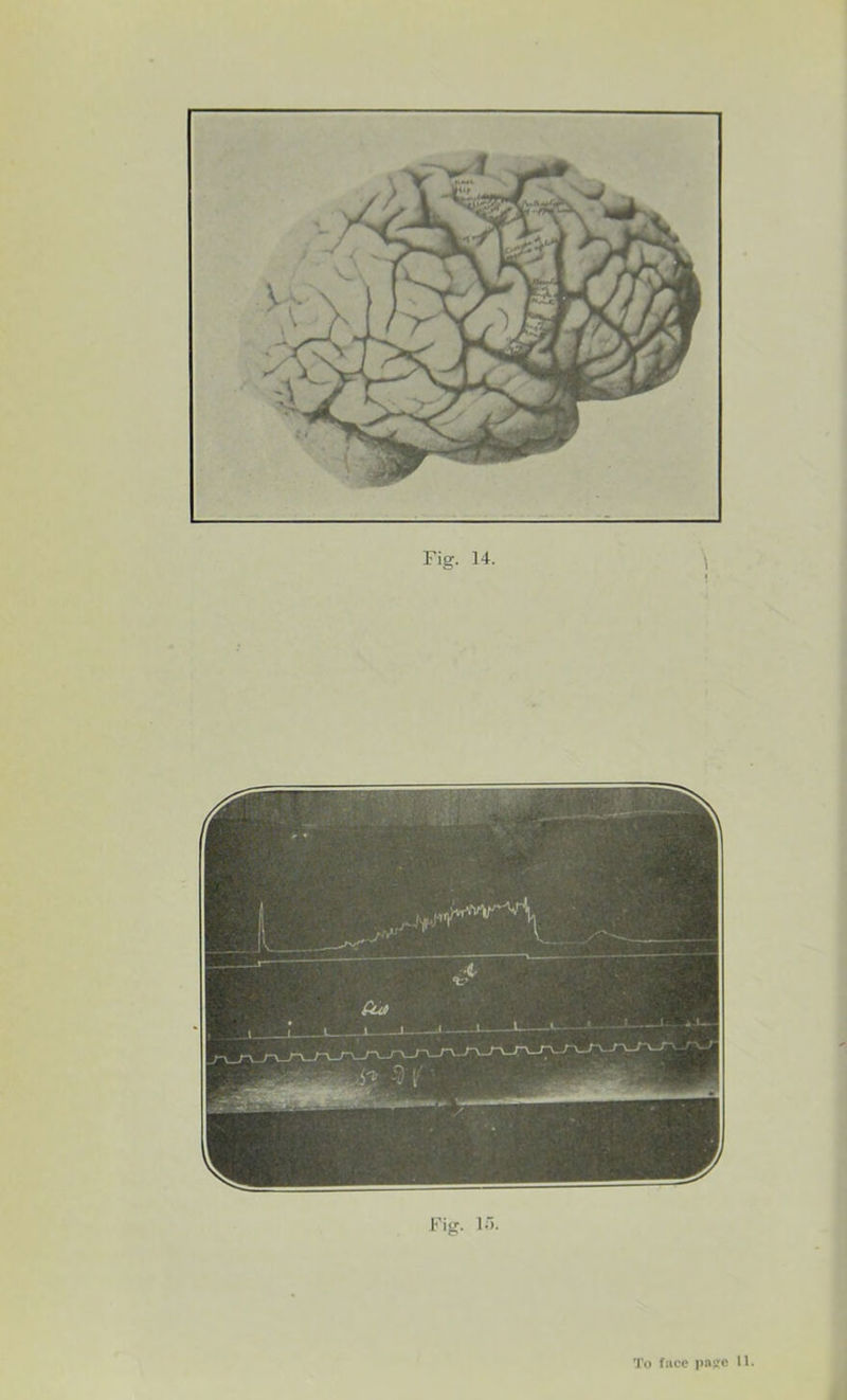 Fig. 15.