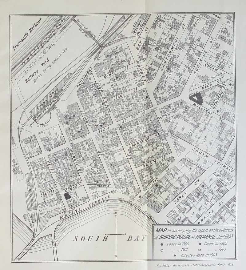 Cib snf'1 MAP to accompany the report on the outbreak ofBmWCPlAGl/fatMMAmJanf/m • Cases in /S00 ■ Cases in/902 © 00/ o .. 003 * infected fiats in /903. BAY SOUTH H. J. Pether. Government Photolithographer. Perth, d P