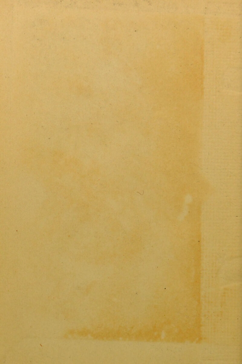 ■'.•/■■- . T'^-. i.■’:^‘'v-i ' ‘ ' ' T?^.. M ^fejl A •. 4 V* ' ^ »., • i_<.Xj ■•..•h< ■' r- ■ 't. ■ ^;i.. '* •' ■ ■ • ' '^Sl *' •■ ■ /-^ . ■ ^ .^'♦?y?C.!t.  • ,:.•> -^^^1;:;-^' '*<> ?rsJc; 3 ■■ -•%'J ./ -.' «(S 1 • '.V ►; -,>. )L'*> 1 ' *» ■^’5^^ ' •*' '■■ • Ji vr-v ■ ••• '^ ■: ■ ; A ■ / ■'«. »'••'-• ■ • r 1 > ■ •>, ■ , ,' ■{ - ;=;V. ,^'-j- . >V, A'ii. S.'' • / i’- ^ *■ J' /V^i ' ' r r* • V?>*. 4 T •* ' - . ^ *' -J. . ■ ^ ». '■;%'».■>, ^ ^ »-* , •>>>'■ • #- ' wVtfiS' •: ^. *tv >Jd H; ■'y . k