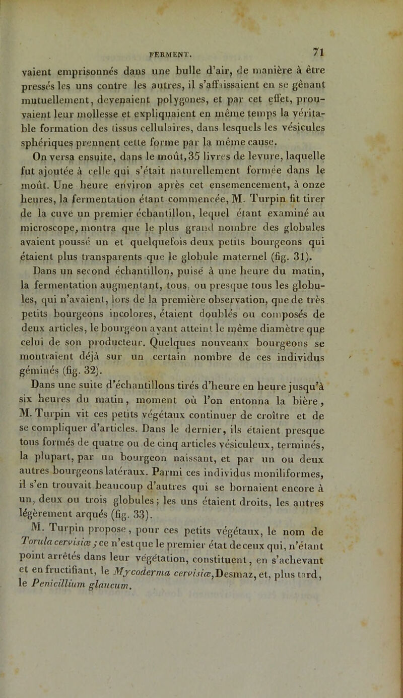 vaient emprisonnes dans une bulle d’air, de manière à être pressés les uns contre les autres, il s’affaissaient en se gênant mutuellement, devenaient polygones, et par cet effet, prou- vaient leur mollesse et expliquaient en même temps la yérita- ble formation des tissus cellulaires, dans lesquels les vésicules sphériques prennent cette forme par la même cause. On versa ensuite, dans le moût, 35 livres de levure, laquelle fut ajoutée à celle qui s’était naturellement formée dans le moût. Une heure environ après cet ensemencement, à onze heures, la fermentation étant commencée, M. Turpin fit tirer de la cuve un premier échantillon, lequel étant examiné au microscope, montra que le plus grand nombre des globules avaient poussé un et quelquefois deux petits bourgeons qui étaient plus transparents que le globule maternel (fig. 31). Dans un second échantillon, puisé à une heure du matin, la fermentation augmentant, tous ou presque tous les globu- les, qui n’avaient, lors de la première observation, que de très petits bourgeons incolores, étaient doublés ou composés de deux articles, le bourgeon ayant atteint le même diamètre que celui de son producteur. Quelques nouveaux bourgeons se montraient déjà sur un certain nombre de ces individus géminés (fig. 32). Dans une suite d’échantillons tirés d’heure en heure jusqu’à six heures du matin, moment où l’on entonna la bière, M. Turpin vit ces petits végétaux continuer de croître et de se compliquer d’articles. Dans le dernier, ils étaient presque tous formés de quatre ou de cinq articles vésiculeux, terminés, la plupart, par un bourgeon naissant, et par un ou deux autres bourgeons latéraux. Parmi ces individus moniliformes, il s en trouvait beaucoup d’autres qui se bornaient encore à un, deux ou trois globules ; les uns étaient droits, les autres légèrement arqués (fig. 33). 31. Turpin propose, pour ces petits végétaux, le nom de Torula cervisiœ ;ce n’est que le premier état de ceux qui, n’étant point arrêtés dans leur végétation, constituent, en s’achevant et en fructifiant, le My coder ma cerm/œ, Desmaz, et, plus tard, le Pénicillium, glaucum.