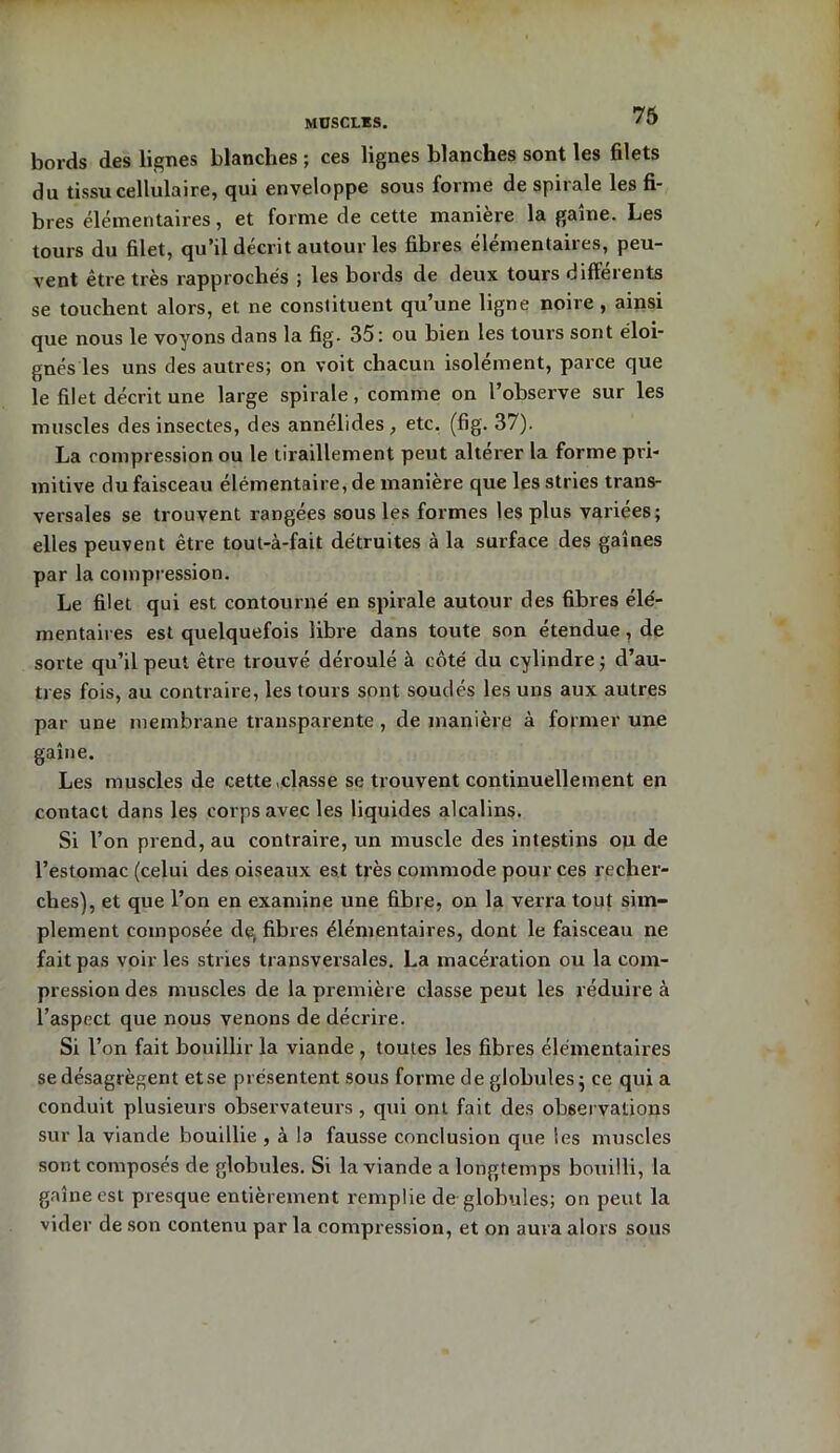 MUSCLES. bords des lignes blanches ; ces lignes blanches sont les filets du tissu cellulaire, qui enveloppe sous forme de spirale les fi- bres élémentaires, et forme de cette manière la gaine. Les tours du filet, qu’il décrit autour les fibres élémentaires, peu- vent être très rapprochés ; les bords de deux tours differents se touchent alors, et ne constituent qu’une ligne noire , ainsi que nous le voyons dans la fig. 35: ou bien les tours sont éloi- gnés les uns des autres; on voit chacun isolément, parce que le filet décrit une large spirale, comme on l’observe sur les muscles des insectes, des annélides, etc. (fig. 37). La compression ou le tiraillement peut altérer la forme pri- mitive du faisceau élémentaire, de manière que les stries trans- versales se trouvent rangées sous les formes les plus variées; elles peuvent être tout-à-fait détruites à la surface des gaines par la compression. Le filet qui est contourné en spirale autour des fibres élé- mentaires est quelquefois libre dans toute son étendue, de sorte qu’il peut être trouvé déroulé à côté du cylindre ; d’au- tres fois, au contraire, les tours sont soudés les uns aux autres par une membrane transparente , de manière à former une gaine. Les muscles de cette .classe se trouvent continuellement en contact dans les corps avec les liquides alcalins. Si l’on prend, au contraire, un muscle des intestins ou de l’estomac (celui des oiseaux est très commode pour ces recher- ches), et que l’on en examine une fibre, on la verra tout sim- plement composée de, fibres élémentaires, dont le faisceau ne fait pas voir les stries transversales. La macération ou la com- pression des muscles de la première classe peut les réduire à l’aspect que nous venons de décrire. Si l’on fait bouillir la viande , toutes les fibres élémentaires se désagrègent et se présentent sous forme de globules; ce qui a conduit plusieurs observateurs , qui ont fait des observations sur la viande bouillie , à la fausse conclusion que les muscles sont composés de globules. Si la viande a longtemps bouilli, la gaine est presque entièrement remplie de globules; on peut la vider de son contenu par la compression, et on aura alors sous