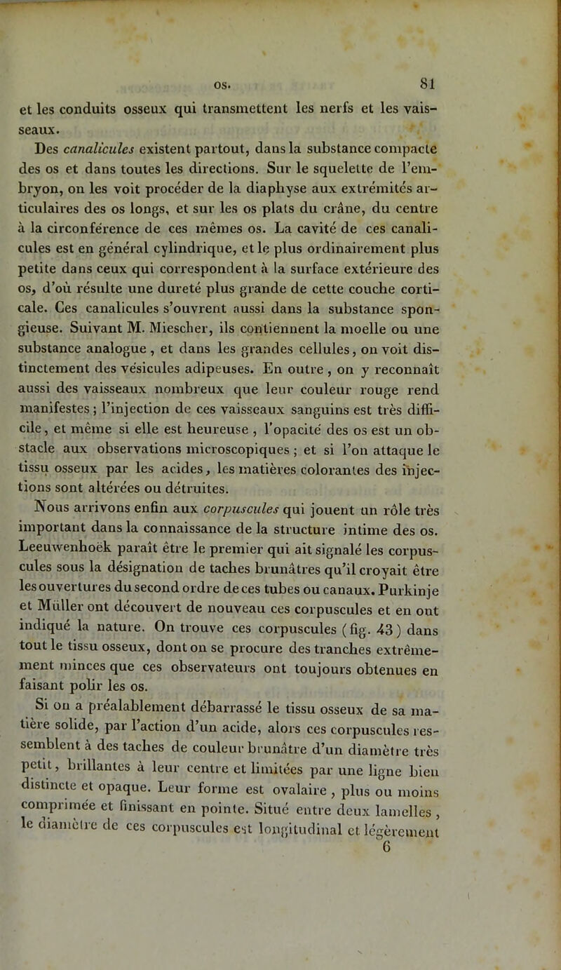 et les conduits osseux qui transmettent les nerfs et les vais- seaux. Des canalicules existent partout, dans la substance compacte des os et dans toutes les directions. Sur le squelette de l’em- bryon, on les voit procéder de la diapliyse aux extrémités ar- ticulaires des os longs, et sur les os plats du crâne, du centre à la circonférence de ces mêmes os. La cavité de ces canali- cules est en général cylindrique, et le plus ordinairement plus petite dans ceux qui correspondent à la surface extérieure des os, d’où résulte une dureté plus grande de cette couche corti- cale. Ces canalicules s’ouvrent aussi dans la substance spon- gieuse. Suivant M. Miesclier, ils contiennent la moelle ou une substance analogue , et dans les grandes cellules, on voit dis- tinctement des vésicules adipeuses. En outre , on y reconnaît aussi des vaisseaux nombreux que leur couleur rouge rend manifestes; l’injection de ces vaisseaux sanguins est très diffi- cile, et même si elle est heureuse , l’opacité des os est un ob- stacle aux observations microscopiques ; et si l’on attaque le tissu osseux par les acides, les matières colorantes des injec- tions sont altérées ou détruites. Nous arrivons enfin aux corpuscules qui jouent un rôle très important dans la connaissance de la structure intime des os. Leeuwenhoëk paraît être le premier qui ait signalé les corpus- cules sous la désignation de taches brunâtres qu’il croyait être les ouvertures du second ordre de ces tubes ou canaux. Purkinje et Millier ont découvert de nouveau ces corpuscules et en ont indiqué la nature. On trouve ces corpuscules (fig. 43) dans tout le tissu osseux, dont on se procure des tranches extrême- ment minces que ces observateurs ont toujours obtenues en faisant polir les os. Si ou a préalablement débarrassé le tissu osseux de sa ma- tièie solide, par 1 action d un acide, alors ces corpuscules res- semblent à des taches de couleur brunâtre d’un diamètre très petit, brillantes à leur centre et limitées par une ligne bien distincte et opaque. Leur forme est ovalaire , plus ou moins comprimée et finissant en pointe. Situé entre deux lamelles , le diamètre de ces corpuscules est longitudinal et. légèrement 6
