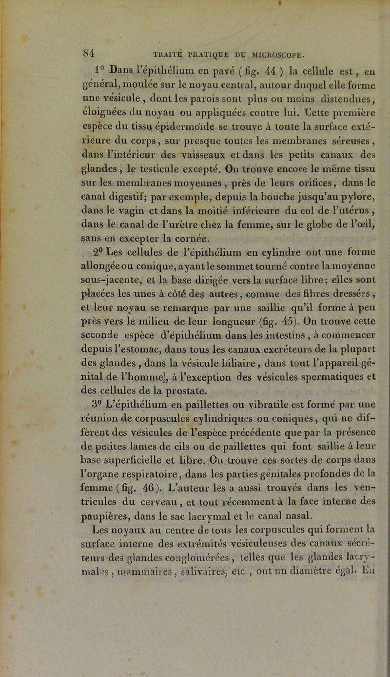 1° Dans l’épithélium en pavé ( fig. 44 ) la cellule est, en général, moulée sur le noyau central, autour duquel elle forme une vésicule , dont les parois sont plus ou moins distendues, éloignées du noyau ou appliquées contre lui. Cette première espèce du tissu épidermoide se trouve à toute la surface exté- rieure du corps, sur presque toutes les membranes séreuses, dans l’intérieur des vaisseaux et dans les petits canaux des glandes, le testicule excepté. On trouve encore le même tissu sur les membranes moyennes , près de leurs orifices, dans le canal digestif; par exemple, depuis la bouche jusqu’au pylore, dans le vagin et dans la moitié inférieure du col de l'utérus , dans le canal de l’urètre chez la femme, sur le globe de l’œil, sans en excepter la cornée. 2° Les cellules de l’épithélium en cylindre ont une forme allongée ou conique, ayant le sommet tourné contre la moyenne sous-jacente, et la base dirigée vers la surface libre; elles sont placées les unes à côté des autres, comme des fibres dressées , et leur noyau se remarque par une saillie qu’il forme à peu près vers le milieu de leur longueur (fig. 45). On trouve cette seconde espèce d’épithélium dans les intestins , à commencer depuis l’estomac, dans tous les canaux excréteurs de la plupart des glandes , dans la vésicule biliaire , dans tout l’appareil gé- nital de l’homme], à l’exception des vésicules spermatiques et des cellules de la prostate. 3° L’épithélium en paillettes ou vibratile est formé par une réunion de corpuscules cylindriques ou coniques, qui ne dif- fèrent des vésicules de l’espèce précédente que par la présence de petites lames de cils ou de paillettes qui font saillie à leur base superficielle et libre. On trouve ces sortes de corps dans l’organe respiratoire, dans les parties génitales profondes de la femme (fig. 46). L’auteur les a aussi trouvés dans les ven- tricules du cerveau , et tout récemment à la face interne des paupières, dans le sac lacrymal et le canal nasal. Les noyaux au centre de tous les corpuscules qui forment la surface interne des extrémités ve'siculeuses des canaux sécré- teurs des glandes conglomérées , telles que les glandes lacry- males . mammaires, salivaires, etc., ont un diamètre égal. Eu