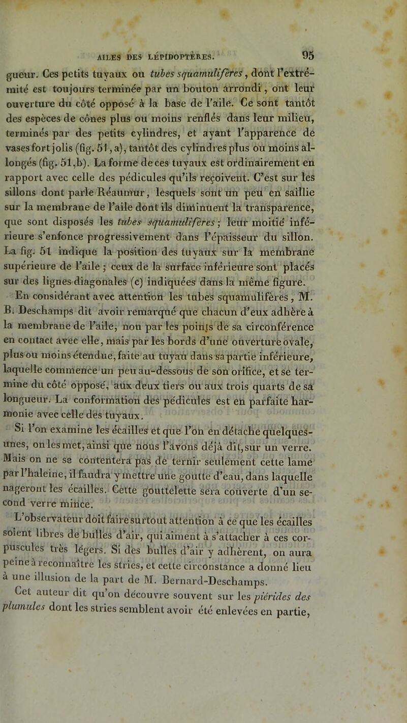 guenr. Ces petits tuyaux ou tubes squamulfères, dont l'extré- mité est toujours terminée par un bouton arrondi, ont leur ouverture du côté opposé à la base de l’aile. Ce sont tantôt des espèces de cônes plus ou moins renflés dans leur milieu, terminés par des petits cylindres, et ayant l'apparence de vases fort jolis (fig. 51, a), tantôt des cylindres plus ou moins al- longés (fig. 51,b). La forme de ces tuyaux est ordinairement en rapport avec celle des pédicules qu’ils reçoivent. C’est sur les sillons dont parle Réaumur, lesquels sont un peu en saillie sur la membrane de l’aile dont ils diminuent la transparence, que sont disposés les tubes squamulifcres ; leur moitié infé- rieure s’enfonce progressivement dans l’épaisseur du sillon. La fig. 51 indique la position des tuyaux sur la membrane supérieure de l’aile ; ceux de la surface, inférieure sont placés sur des lignes diagonales (c) indiquées dans la même figure. En considérant avec attention les tubes squamulifères, M. B. Deschamps dit avoir remarqué que chacun d’eux adhère à la membrane de l’aile, non par les points de sa circonférence en contact avec elle, mais par les bords d’une ouverture ovale, plus ou moins étendue, faite au tuyau dans sa partie inférieure, laquelle commence un peu au-dessous de son orifice, et se ter- mine du côté opposé, aux deux tiers ou aux trois quarts de sa longueur. La conformation des pédicules est en parfaite har- monie avec celle dés tuyaux. Si 1 on examine les écailles et que l’on en détache quelques- unes, on les met, ainsi que nous l’avons déjà dit,sur un verre. Mais on ne se contentera pas de ternir seulement cette lame pai 1 baleine, il faudra y mettre une goutte d’eau, dans laquelle nageront les écaillés. Cette gouttelette sera couverte d’un se- cond verre mince. L observateur doit faire surtout attention à ce que les écailles soient libres de bulles d’air, qui aiment à s’attacher à ces cor- puscules très légers. Si des bulles d’air y adhèrent, on aura peine à reconnaître les stries, et cette circonstance a donné lieu à une illusion de la part de M. Bernard-Deschamps. Cet auteur dit qu’on découvre souvent sur les piérides des plumules dont les stries semblent avoir été enlevées en partie,