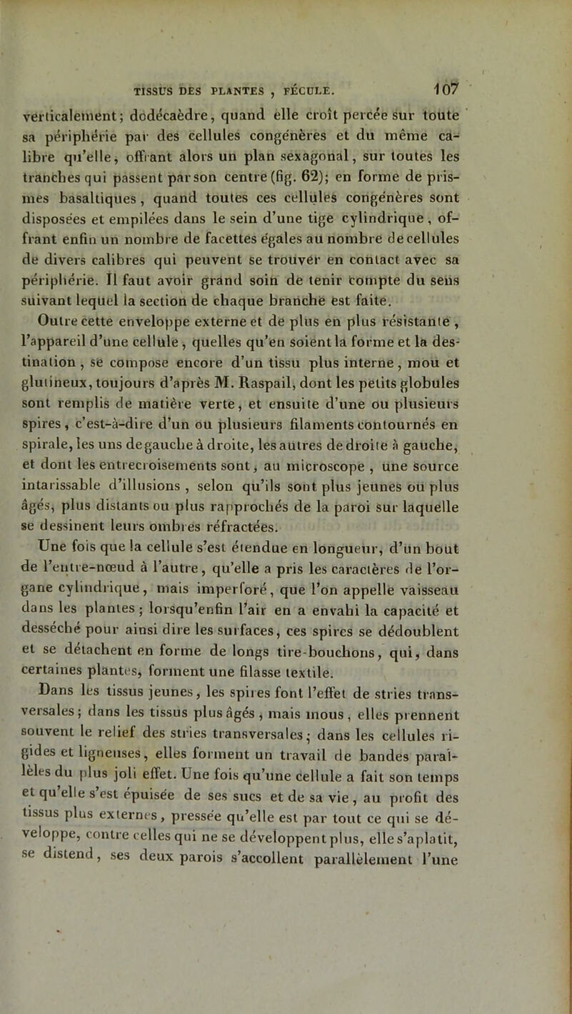 verticalement; dodécaèdre, quand elle croît percée sur toute sa périphérie par des cellules congénères et du même ca- libre qu’elle, offrant alors un plan sexagonal, sur toutes les tranches qui passent par son centre (fig. 62); en forme de pris- mes basaltiques, quand toutes ces cellules congénères sont disposées et empilées dans le sein d’une tige cylindrique , of- frant enfin un nombre de facettes égales au nombre de cellules de divers calibres qui peuvent se trouver en contact avec sa périphérie. Il faut avoir grand soin de tenir compte du sens suivant lequel la section de chaque branche est faite. Outre cette enveloppe externe et de plus en plus résistante , l’appareil d’une cellule, quelles qu’en soient la forme et la des- tination , se compose encore d’un tissu plus interne, mou et glutineux, toujours d’après M. Raspail, dont les petits globules sont remplis de matière verte, et ensuite d’une ou plusieurs spires, c’est-à-dire d’un ou plusieurs filaments contournés en spirale, les uns degauche à droite, les autres de droite à gauche, et dont les entrecroisements sont, au microscope , une source intarissable d’illusions , selon qu’ils sont plus jeunes ou plus âgés, plus distants ou plus rapprochés de la paroi sur laquelle se dessinent leurs ombres réfractées. Une fois que la cellule s’est étendue en longueur, d’un bout de l’entre-nœud à l’autre, qu’elle a pris les caractères de l’or- gane cylindrique, mais imperforé, que l’on appelle vaisseau dans les plantes ; lorsqu’enfin l’air en a envahi la capacité et desséché pour ainsi dire les surfaces, ces spires se dédoublent et se détachent en forme de longs tire-bouchons, qui, dans certaines plantes, forment une filasse textile. Dans les tissus jeunes, les spires font l’effet de stries trans- versales; dans les tissus plus âgés, mais mous, elles prennent souvent le relief des stries transversales; dans les cellules ri- gides et ligneuses, elles forment un travail rie bandes paral- lèles du plus joli effet. Une fois qu’une cellule a fait son temps et qu elle s est épuisée de ses sucs et de sa vie , au profit des tissus plus externes, pressée qu’elle est par tout ce cpii se dé- veloppe, contre celles qui ne se développent plus, elle s’aplatit, se distend, ses deux parois s’accollent parallèlement l’une