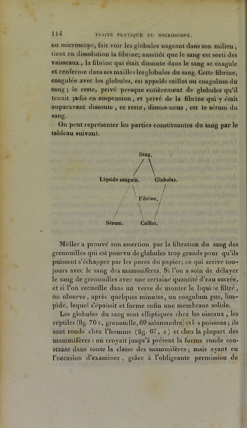 au microscope, fait voir les globules nageant dans son milieu , tient en dissolution la fibrine; aussitôt que le sang est sorti des vaisseaux, la fibrine qui était dissoute dans le sang se coagule et renferme dans ses mailles lesglobules du sang. Cette fibrine, coagulée avec les globules, est appelée caillot ou coagulutn du sang ; le reste, privé presque entièrement de globules qu'il tenait jadis en suspension , et privé de la fibrine qui y était auparavant dissoute , ce reste, disons-nous , est le sérum du sang. On peut représenter les parties constituantes du sang par le tableau suivant. Sang. i Liquide sanguin. Globules. / / / Sérum. Mailler a prouvé son assertion par la filtration du sang des grenouilles qui est pourvu de globules trop grands pour qu’ils puissent s’échapper par les pores du papier; ce qui arrive tou- jours avec le sang des mammifères. Si l’on a soin de délayer le sang de grenouilles avec une certaine quantité d’eau sucrée, et si l’on recueille dans un verre de montre le liquide filtré, on observe, après quelques minutes, un coagulum pur, lim- pide, lequel s’épaissit et forme enfin une membrane solide. Les globules du sang sont elliptiques chez les oiseaux , les reptiles (fig. 70 c, grenouille, 69 salamandre) et 1. s poissons ; ils sont ronds chez l’homme (fig. 67, a) et chez la plupart des mammifères : on croyait jusqu’à présent la forme ronde con- stante dans toute la classe des mammifères ; mais ayant eu l’occasion d’examiner , grâce à l’obligeante permission de Caillot.