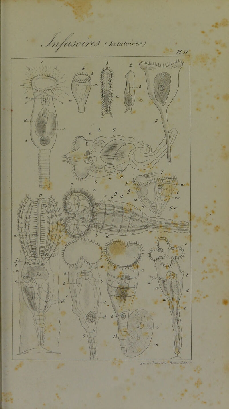 Xm.de. TtnureterSre%8c(T* , //////Je//YJ ( fiotoiotr'CJ' )