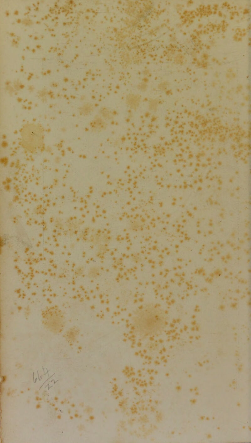 t . * • . • x M • •* - •1 i •v *** * » .•> % • «A* •* v* •ÿ* •. ^ • ♦ >•« « • JL •VtttV‘ *4 v» »* 41 v* •