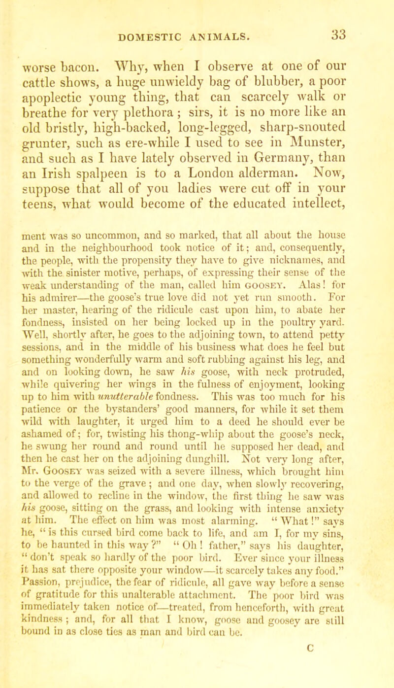worse bacon. Why, when I observe at one of our cattle shows, a huge unwieldy bag of blubber, a poor apoplectic young thing, that can scarcely walk or breathe for very plethora ; sirs, it is no more like an old bristly, high-backed, long-legged, sharp-snouted grunter, such as ere-while I used to see in Munster, and such as I have lately observed in Germany, than an Irish spalpeen is to a London alderman. Now, suppose that all of you ladies were cut off in your teens, what would become of the educated intellect, ment was so uncommon, and so marked, that all about tlie house and in the neighbourhood took notice of it; and, consequently, the people, with the propensity they have to give nicknames, and with the sinister motive, perhaps, of expressing their sense of the weak understanding of the man, called him goosey. Alas! for his admirer—the goose’s true love did not yet run smooth. For her master, hearing of the ridicule cast upon him, to abate her fondness, insisted on her being locked up in the poultry yard. Well, shortly after, he goes to the adjoining town, to attend petty sessions, and in the middle of his business what does he feel but something wonderfully warm and soft rubbing against his leg, and and on looking down, he saw his goose, with neck protruded, while quivering her wings in the fulness of enjoyment, looking up to him with unutterable fondness. This was too much for his patience or the bystanders’ good manners, for while it set them wild with laughter, it urged him to a deed he should ever be ashamed of; for, twisting his thong-whip about the goose’s neck, he swung her round and round until he supposed her dead, and then he cast her on the adjoining dunghill. Not very long after, Mr. Goosey was seized with a severe illness, which brought him to the verge of the grave; and one day, when slowly recovering, and allowed to recline in the window, the first thing he saw was his goose, sitting on the grass, and looking with intense anxiety at him. The effect on him was most alarming. “ What!” says he, “ is this cursed bird come back to life, and am I, for my sins, to be haunted in this way ?” “ Oh ! father,” says his daughter, “ don’t speak so hardly of the poor bird. Ever since your illness it has sat there opposite your window—it scarcely takes any food.” Passion, prejudice, the fear of ridicule, all gave way before a sense of gratitude for this unalterable attachment. The poor bird was immediately taken notice of—treated, from henceforth, with great kindness ; and, for all that I know, goose and goosey are slill bound in as close ties as man and bird can be. C