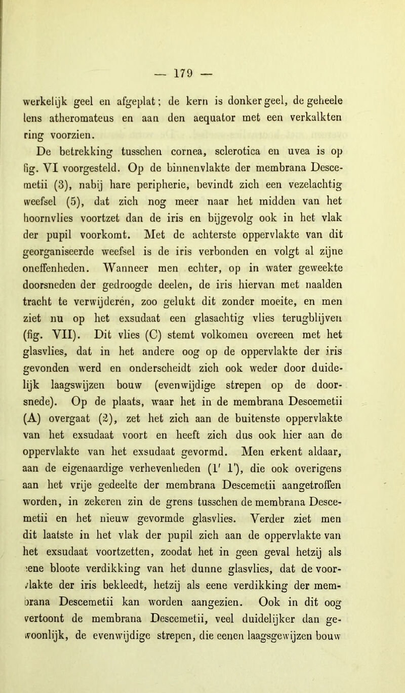 werkelijk geel eii afgeplat; de kern is donkergeel, de geheele lens atheromateus en aan den aequator met een verkalkten ring voorzien. De betrekking tusschen cornea, sclerotica en uvea is op fig. VI voorgesteld. Op de binnenvlakte der membrana Desce- metii (3), nabij hare peripherie, bevindt zich een vezelachtig weefsel (5), dat zich nog meer naar het midden van het hoornvlies voortzet dan de iris en bijgevolg ook in het vlak der pupil voorkomt. Met de achterste oppervlakte van dit georganiseerde weefsel is de iris verbonden en volgt al zijne oneffenheden. Wanneer men echter, op in water geweekte doorsneden der gedroogde deelen, de iris hiervan met naalden tracht te verwijderén, zoo gelukt dit zonder moeite, en men ziet nu op het e.\sudaat een glasachtig vlies terugblijven (fig. VII). Dit vlies (C) stemt volkomen overeen met het glasvlies, dat in het andere oog op de oppervlakte der iris gevonden werd en onderscheidt zich ook weder door duide- lijk laagswijzen bouw (evenwijdige strepen op de door- snede). Op de plaats, waar het in de membrana Descemetii (A) overgaat (2), zet het zich aan de buitenste oppervlakte van het exsudaat voort en heeft zich dus ook hier aan de oppervlakte van het exsudaat gevormd. Men erkent aldaar, aan de eigenaardige verhevenheden (1' 1'), die ook overigens aan het vrije gedeelte der membrana Descemetii aangetroffen worden, in zekeren zin de grens tusschen de membrana Desce- metii en het nieuw gevormde glasvlies. Verder ziet men dit laatste in het vlak der pupil zich aan de oppervlakte van het exsudaat voortzetten, zoodat het in geen geval hetzij als lene bloote verdikking van het dunne glasvlies, dat de voor- vlakte der iris bekleedt, hetzij als eene verdikking der mem- orana Descemetii kan worden aangezien. Ook in dit oog vertoont de membrana Descemetii, veel duidelijker dan ge- kvoonlijk, de evenwijdige strepen, die eenen laagsgewijzen bouw