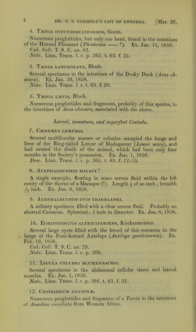 4. Taenia infundiruliformis, Goeze. Numerous proglottides, but only one head, found in tlie intestines of the Horned Pheasant (Fhasianus ?). Ex. Jan. 15, 1858. Cab. Coll. T. S. C. no. 63. Note. Linn. Trans. 1. c. p. 365. t. 63. f. 25. 5. T^nia lanceolata, Bloch. Several specimens in the intestines of the Dusky Duck (Anas oh- scura). Ex. Jan. 30, 1858. Note. Linn. Trans. 1. c. t. 63. f. 20. 6. Taenia ljevis, Bloch. Numerous proglottides and fragments, probably of this species, in the intestines of Anas ohscura, associated with the above. Larval, immature, and imperfect Cestoda. 7. CfENURUS LEMURIS. Several multilocular masses or colonies occupied the lungs and liver of the Ring-tailed Lemur of Madagascar (Lemur maco), and had caused the death of the animal, which had been only four months in the Society’s possession. Ex. Jan. 1, 1858. Fesc. Linn. Trans. 1. c. p. 365. t. 63. f. 12-15. 8. Acephalocystis macaci ? A single example, floating in some serous fluid within the left cavity of the thorax of a Macaque (?). Length of an inch ; breadth inch. Ex. Jan. 8, 1858. 9. Acephalocystis ovis tragelaphi. A solitary specimen filled with a clear serous fluid. Probably an aborted Coenurus. Spherical; 1 inch in diameter. Ex. Jan. 8, 1858. 10. Echinococcus altricipariens, Kuchenmeister. Several large cysts filled with the brood of this entozoon in the lungs of the Four-horned Antelope (Antilope qiiadrico^ms). Ex. Feb. 19, 1858. Cab. Coll. T. S. C. no. 79. Note. Linn. Trans. 1. c. p. 266. 11. Ligula colubri blumenbachii. Several specimens in the abdominal cellular tissue and lateral muscles. Ex. Jan. 1, 1858. Note. Linn, Trans. 1. c. p. 366. t. 63. f. 31. 12. CeSTOIDEUM AMADIN.E. Numerous proglottides and fragments of a Taoda in the intestines of Amadina ciicuUuta from Western Africa.
