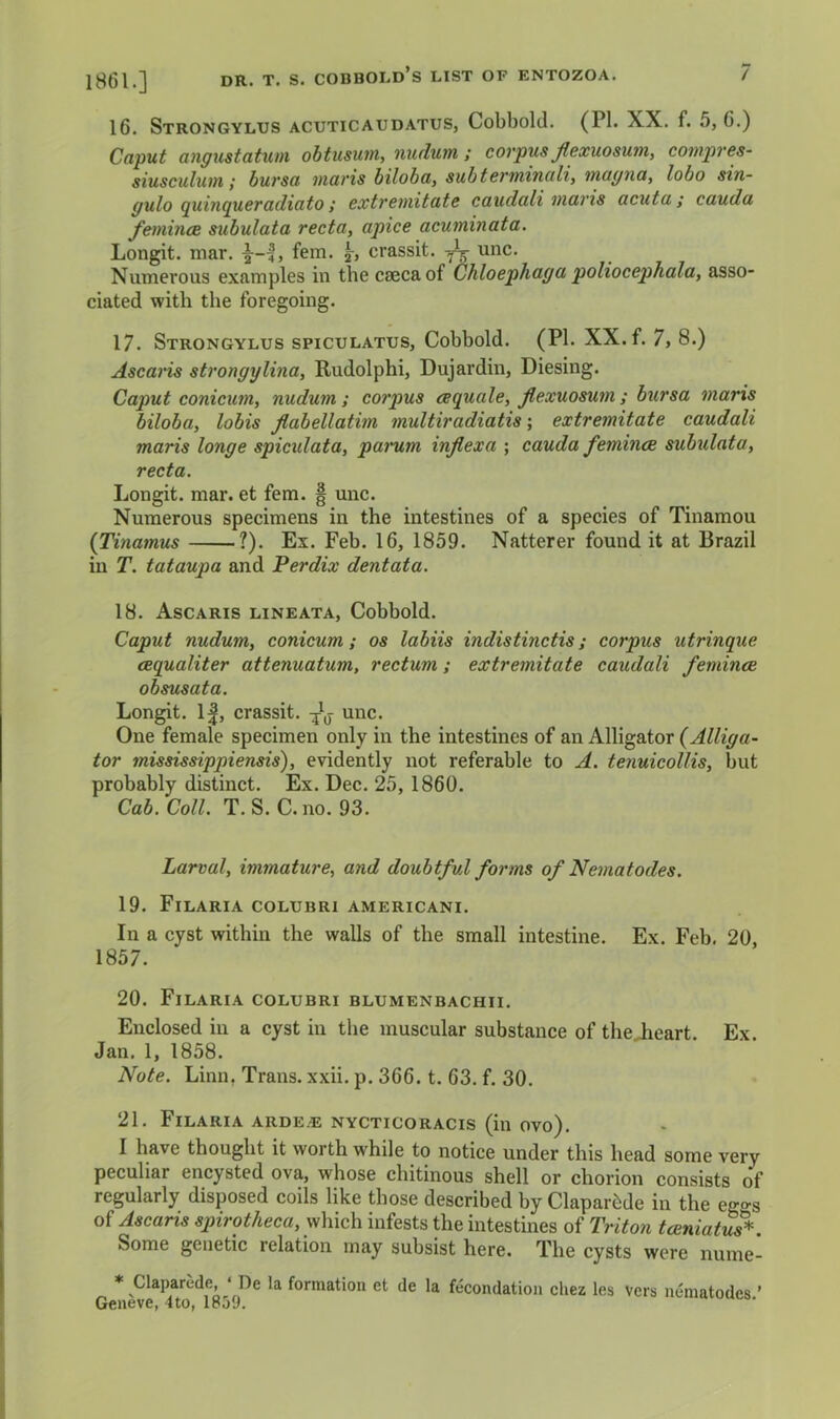 1861.] 16. Strongylds acuticaudatus, Cobbold. (PI. XX. f. 5, 6.) Cnput angustcitum ohtusuin, nudutn ; corpus Jlexuosum, conipves- siusculwn; buvso inaris biloba, subtcrwiitiuli, mayiui, lobo sin- gulo (juifKjucrctdicito; cxtrcniitutc cuudctli incivis acuta; cauda fetnincB subulata recta, apice acuminata. Longit. mar. fern. crassit. ^ unc. Numerous examples in the caeca of Chloephaga poliocephala, asso- ciated with the foregoing. 17. Strongylus spiculatus, Cobbold. (PI. XX. f. 7, 8.) Ascaris strongylina, Rudolphi, Dujardin, Diesing. Caput conicum, nudum; corpus cequale, Jlexuosum; bursa maris biloba, lobis Jlabellatim multiradiatis \ extremitate caudali maris longe spiculata, pai'um injiexa ; cauda femince subulata, recta. Longit. mar. et fern. § unc. Numerous specimens in the intestines of a species of Tinamou {Tinamus ?). Ex. Feb. 16, 1859. Natterer found it at Brazil in T. tataupa and Perdix dentata. 18. Ascaris lineata, Cobbold. Caput nudum, conicum; os labiis indistinctis; corpus utrinque eequaliter attenuatum, rectum; extremitate caudali femince obsusata. Longit. 1|, crassit. unc. One female specimen only in the intestines of an Alligator {Alliga- tor mississippiensis), evidently not referable to A. tenuicollis, but probably distinct. Ex. Dec. 25, 1860. Cab. Coll. T. S. C. no. 93. Larval, immature, and doubtful forms of Nematodes. 19. Filaria colubri americani. In a cyst within the walls of the small intestine. Ex. Feb. 20, 1857. 20. Filaria colubri blumenbachii. Enclosed in a cyst in the muscular substance of thejieart. Ex. Jan. 1, 1858. Note. Linn, Trans, xxii. p. 366. t. 63. f. 30. 21. Filaria arde.e nycticoracis (in ovo). I have thought it worth while to notice under this head some very peculiar encysted ova, whose chitinous shell or chorion consists of regularly disposed coils like those described by Claparbde in the ego-s of Ascaris spirotheca, which infests the intestines of Triton tcBniatu?<^. Some genetic relation may subsist here. The cysts were nume- * Claparede, ‘ Be la formation et de la fecondation chez les Vers nematodes ' Geneve, 4to, Ipjy.