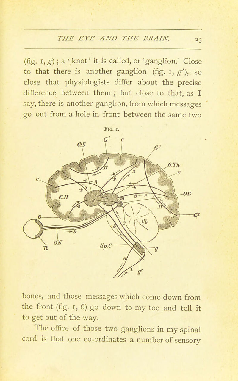 (fig. I, ^); a ‘ knot ’ it is called, or ‘ ganglion.’ Close to that there is another ganglion (fig. i, H), so close that physiologists differ about the precise difference between them ; but close to that, as I say, there is another ganglion, from which messages go out from a hole in front between the same two Fig. I. bones, and those messages which come down from the front (fig. i, 6) go down to my toe and tell it to get out of the way. The office of those two ganglions in my spinal cord is that one co-ordinates a number of sensory