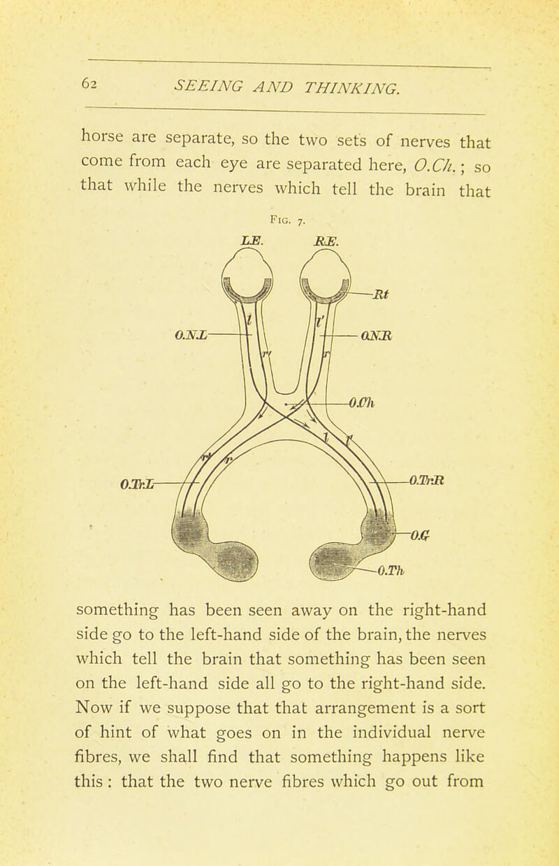horse are separate, so the two sets of nerves that come from each eye are separated here, O.Ch.; so that while the nerves which tell the brain that Fig. 7. JjE. re. something has been seen away on the right-hand side go to the left-hand side of the brain, the nerves which tell the brain that something has been seen on the left-hand side all go to the right-hand side. Now if we suppose that that arrangement is a sort of hint of what goes on in the individual nerve fibres, we shall find that something happens like this : that the two nerve fibres which go out from