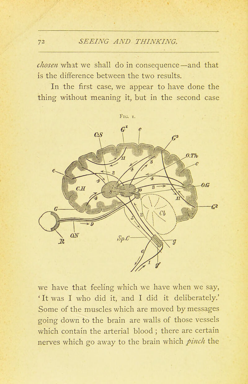 chosen what we shall do in consequence—and that is the difference between the two results. In the first case, we appear to have done the thing without meaning it, but in the second case Fig. I. we have that feeling which we have when we say, ‘ It was I who did it, and I did it deliberately.’ Some of the muscles which are moved by messages going down to the brain are walls of those vessels which contain the arterial blood ; there are certain nerves which go away to the brain which pinch the