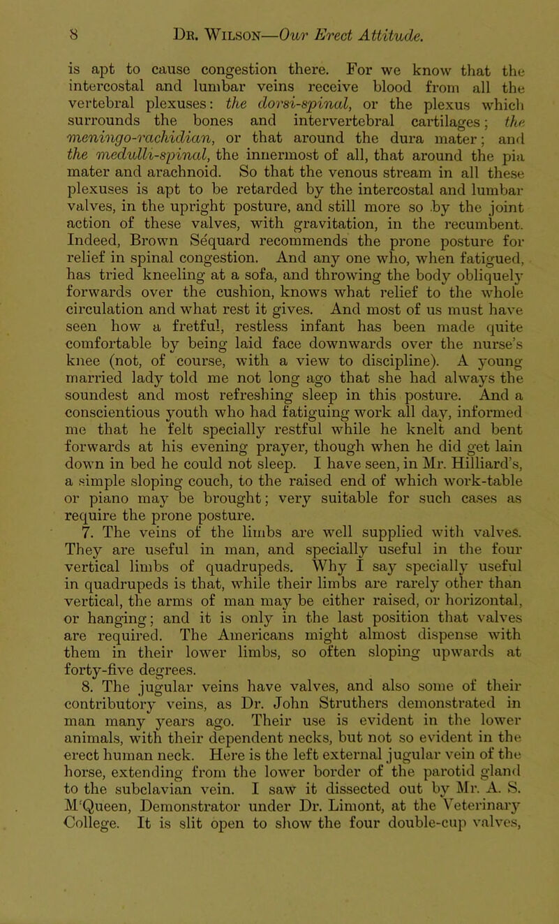 is apt to cause congestion there. For we know that the intercostal and lumbar veins receive blood from all the vertebral plexuses: the dorsi-spinal, or the plexus which surrounds the bones and intervertebral cartilages; the meningo-rcichidian, or that around the dura mater; and the medulU-spinal, the innermost of all, that around the pia mater and arachnoid. So that the venous stream in all these plexuses is apt to be retarded by the intercostal and lumbar valves, in the upright posture, and still more so by the joint action of these valves, with gravitation, in the recumbent. Indeed, Brown Sequard recommends the prone posture for relief in spinal congestion. And any one who, when fatigued, has tried kneeling at a sofa, and throwing the body obliquely forwards over the cushion, knows what relief to the whole circulation and what rest it gives. And most of us must have seen how a fretful, restless infant has been made quite comfortable by being laid face downwards over the nurse’s knee (not, of course, with a view to discipline). A young married lady told me not long ago that she had always the soundest and most refreshing sleep in this posture. And a conscientious youth who had fatiguing work all day, informed me that he felt specially restful while he knelt and bent forwards at his evening prayer, though when he did get lain down in bed he could not sleep. I have seen, in Mr. Hilliard’s, a simple sloping couch, to the raised end of which work-table or piano may be brought; very suitable for such cases as require the prone posture. 7. The veins of the limbs are well supplied with valves. They are useful in man, and specially useful in the four vertical limbs of quadrupeds. Why I say specially useful in quadrupeds is that, while their limbs are rarely other than vertical, the arms of man may be either raised, or horizontal, or hanging; and it is only in the last position that valves are required. The Americans might almost dispense with them in their lower limbs, so often sloping upwards at forty-five degrees. 8. The jugular veins have valves, and also some of their contributory veins, as Dr. John Struthers demonstrated in man many years ago. Their use is evident in the lower animals, with their dependent necks, but not so evident in the erect human neck. Here is the left external jugular vein of the horse, extending from the lower border of the parotid gland to the subclavian vein. I saw it dissected out by Mr. A. S. M:Queen, Demonstrator under Dr. Limont, at the Veterinary College. It is slit open to show the four double-cup valves,