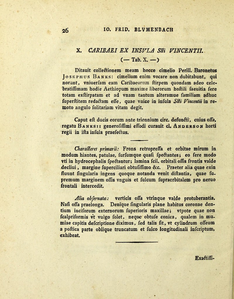 X. CARIBAEI EX 1NSVLA SSti VINCENTI!. (— Tab. X. —> Ditauit colleftionem meam hocce cimelio Perill. Baronetus Josephus Banks: cimelium enim vocare non dubitabunt, qui norunt, vniuerfam eam Caribaeomm ftirpem quondam adeo cele- bratiffimam hodie Aethiopum maxime liberorum hoftili faeuitia fere totam exiiirpatam et ad vnam tantum alteramue familiam adhuc fuperftitem redattam elfe, quae vnice in infula Sffii Vincentii in re- moto angulo folitariam vitam degit. Caput elt ducis eorum ante triennium circ. defunfti, cuius olTa, rogatu Banksii generofiffimi effodi curauit cl. Anderson horti regii in ilia infula praefeftus. Charafteres primarii: Frons retroprelfa et orbitae mirum in modum hiantes, patulae, furfumque quafi fpeftantes; eo fere modo vti in hydrocephalis fpeftantur; lamina fcil. orbitali offis frontis valde decliui, margine fuperciliari obtufiffimo &c. Praeter alia quae exin fluunt lingularia ingens quoque notanda venit diftantia, quae fu. premum marginem offis vnguis et fulcum fupracrbitalem pro neruo frontali intercedit. Alia obferuata: verticis olfa vtrinque valde protuberantia. Nafi offa praelonga. Denique lingularis plane habitus coronae den- tium inciforum externorum fuperioris maxillae; vtpote quae non fcalpriformis vt vulgo folet, neque obtufe conica, qualem in mu- miae capitis defcriptione diximus, fed talis lit, vt cylindrum offeum a poftica parte oblique truncatum et fulco longitudinali infcriptum, exhibeat. Exaftiffi-