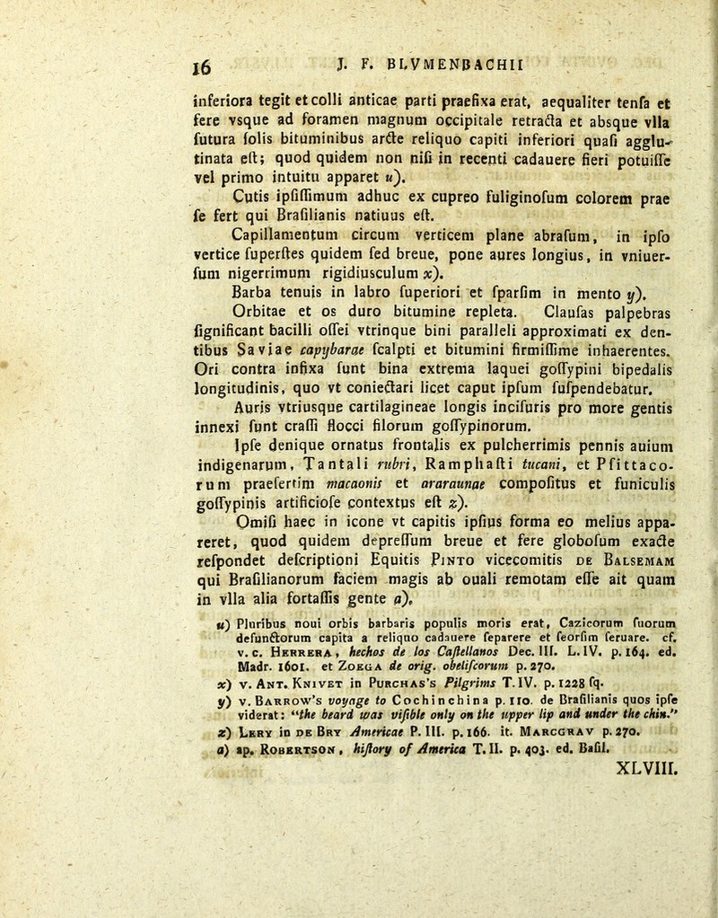 inferiora tegit et colli anticae parti praefixa erat, aequaliter tenfa et fere vsque ad foramen magnum occipitale retrafta et absque vlla futura folis bituminibus artte reliquo capiti inferiori quafi agglu- tinata eft; quod quidem non nifi in recenti cadauere fieri potuiffe vel primo intuitu apparet m). Cutis ipfiflimum adhuc ex cupreo fuliginofum colorem prae fe fert qui Brafilianis natiuus eft. Capillamentum circum verticem plane abrafum, in ipfo vertice fuperftes quidem fed breue, pone aures longius, in vniuer- fum nigerrimum rigidiusculum #). Barba tenuis in labro fuperiori et fparfim in mento y). Orbitae et os duro bitumine repleta. Claufas palpebras fignificant bacilli offei vtrinque bini paralleli approximati ex den- tibus Saviae capybarae fcalpti et bitumini firmiflime inhaerentes. Ori contra infixa funt bina extrema laquei gofTypini bipedalis longitudinis, quo vt conieftari licet caput ipfum fufpendebatur. Auris vtriusque cartilagineae longis incifuris pro more gentis innexi funt crafli flocci filorum goflypinorum. Ipfe denique ornatus frontalis ex pulcherrimis pennis auium indigenarum, Tantali rubri, Ramphafti tucani, etPfittaco- rum praeferrim macaonis et araraunae compofitus et funiculis gofiypinis artificiofe contextus eft ^), Qmifi haec in icone vt capitis ipfius forma eo melius appa- reret, quod quidem depreflum breue et fere globofum exacle refpondet defcriptioni Equitis Pinto vicecomitis de Balsemam qui Brafilianorum faciem magis ab ouali remotam efle ait quain in vlla alia fortaflis gente a), u) Pluribus noui orbis barbaris populis moris erat, Cazicorum fuorum defun&orum capita a reliquo cadauere feparere et feorfim feruare. cf. v. c. Herrera» hechos de los Cajlellanos Dec. III. L. IV. p. 164. ed. Madr. 1601. et Zoega de orig. obelifcormi p. 270. x) v. Ant. Knivet in Purchas’s Pilgrims T.IV. p. 1228 fq- y) v.Barrow’s voyage to Cochinchina p. iro. de Brafilianis quos ipfe viderat: ‘Hhe beari was viftble only on the upper lip ani under the chtH.” z) Lery in de Bry Americae P. III. p. 166. it. Marcgrav p. 270. a) ap. Robertson , hijlory of America T. II. p. 403. ed. Bafil. XLViir.