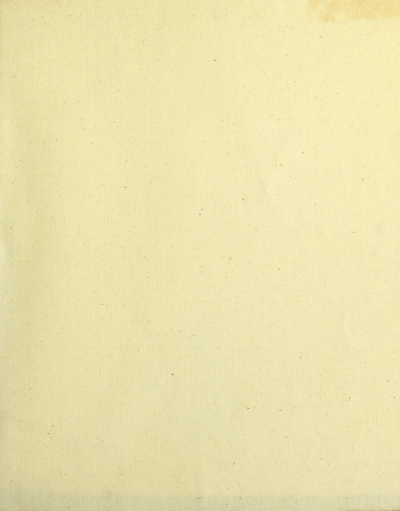 -V - \ / •' < • l