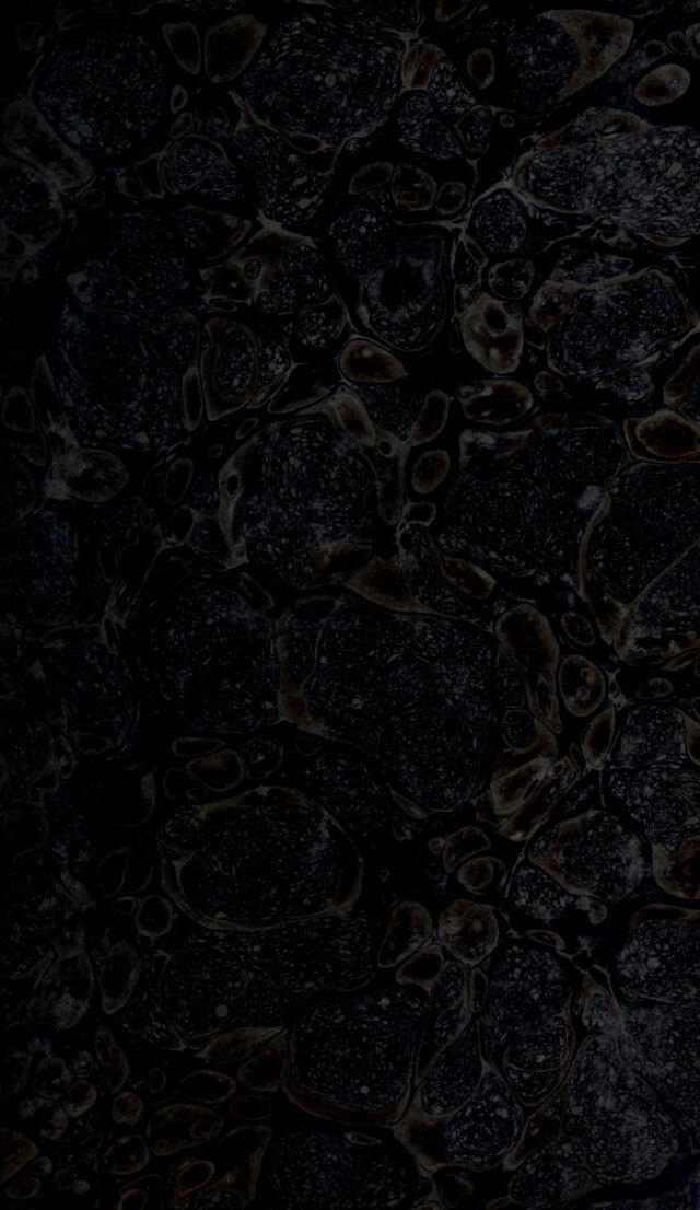 digitised image 1