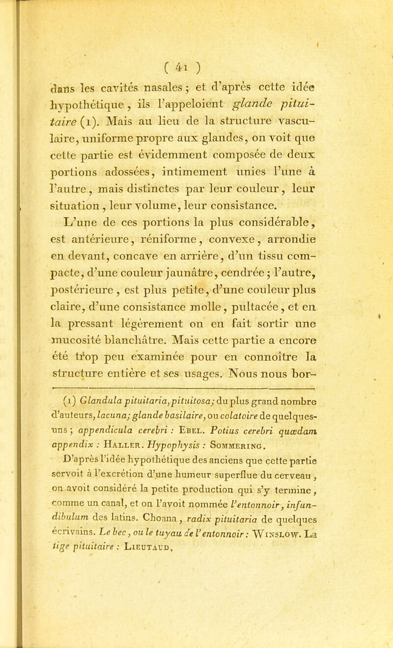 <îans les cavités nasales j et d’après cette idée liypothétique , ils l’appeloient glande pitui- taire (i). Mais au lieu de la structure vascu- laire, uniforme propre aux glandes, on voit que cette partie est évidemment composée de deux portions adossées, intimement unies l’une à l’autre, mais distinctes par leur couleur, leur situation , leur volume, leur consistance. L’une de ces portions la plus considérable, est antérieure, réniforme, convexe, arrondie en devant, concave en arrière, d’un tissu com- pacte, d’une couleur jaunâtre, cendrée ; l’autre, }Dostérieure , est plus petite, d’une couleur plus claire, d’une consistance molle, pultacée, et eu la pressant légèrement on en fait sortir une mucosité blanchâtre. Mais cette partie a encore été ti'op peu examinée pour en connoître la structure entière et ses usages. Nous nous bor- (i) Glandula du plus grand nombre d’auteurs, lacuna; glande basilaire, ou colatoire de quelques- uns ; appendicula cerebri : Ebel. Potius cerebri quœdam appendix : Haller. Hypophysis : Sommering. D’après l’idée hypothétique des anciens que cette partie servoit à l’excrétion d’une humeur superflue du cerveau , on avoit considère la petite production qui s’y termine, comme un canal, et on l’avoit nommée Ventonnoir, infun— dibulum des latins. Choaiia, radix pituitaria de quelques écrivains. Le bec, ouïe tuyau de V entonnoir : Winslow. La tige pituitaire : Lieutaed.