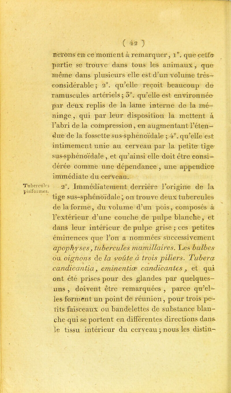 Tnberculrs pisifoimes. ( 42 7 îieroiis en ce moment à remarquer, 1“. que cetfe partie se trouve dans tous les animaux, que même dans plusieurs elle est d’un volume très— eonsidérable ; 2“. qu’elle reçoit beaucoup de ramuscules artériels ; 3°. qu’elle est environnée par deux replia de la lame interne de la mé- ninge , qui par leur disposition la mettent à l’abri de la coinpression, en augmentant l’éten- due de la fossette sus-spliénoïdale 5 4”. qu’elle est intimement unie au cerveau par la petite tige sus-spliénoïdale, et qu’ainsi elle doit être consi- dérée comme une dépendance , une appendice immédiate du cerveau. 2°. Immédiateraent derrière l’origine de la tige sus-spbénoïdale J on trouve deux tubercules de la forme, du volume d’un pois, composés à l’extérieur d’une couche de pulpe blanche, et dans leur intérieur de pulpe grise j ces petites éminences que l’on a nommées successivement apophyses y tubercules mamillaires. Les bulbes ou oignons de la voûte à trois piliers. Tubera candicantia, eminentiæ candicantes ^ et qui ont été prises pour des glandes par quelques- uns , doivent être remarquées , parce qu’el- les forment un point de réunion, pour trois pe- tits faisceaux ou bandelettes de substance blan- che qui se portent en différentes directions dans le tissu intérieur du cerveau j nous les distiii- \