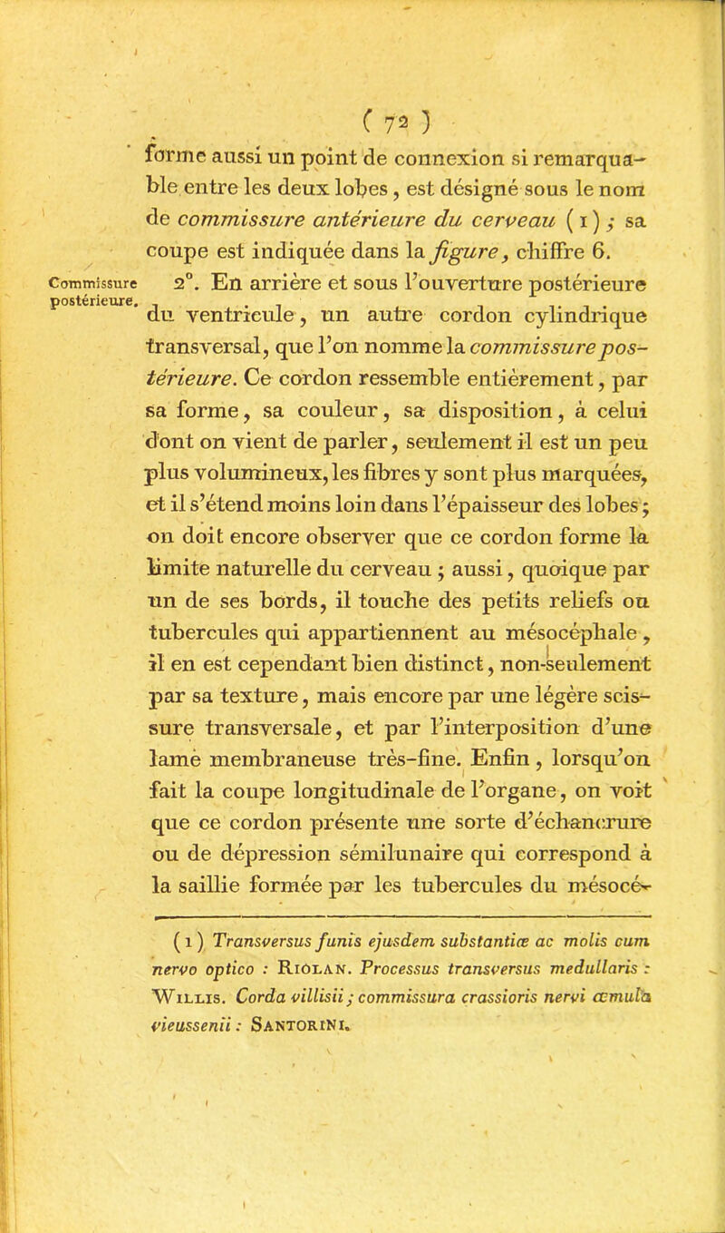 Commissure postérieure. C 72 ) forme aussi un point de connexion si remarqua- ble entre les deux lobes, est désigné sous le nom de commissure antérieure du cerveau ( i ) ; sa coupe est indiquée dans la figure, cliiffre 6. 2”. En arrière et sous l’ouverture postérieure du ventricule , un autre cordon cylindrique transversal, que l’on nommtla. commissure pos- térieure. Ce cordon ressemble entièrement, par sa forme, sa couleur, sa disposition, à celui dont on vient de parler, seulement il est un peu plus volumineux, les fibres y sont plus marquées, et il s’étend moins loin dans l’épaisseur des lobes ; on doit encore observer que ce cordon forme la limite naturelle du cerveau ; aussi, quoique par un de ses bords, il touche des petits reliefs ou tubercules qui appartiennent au mésocéphale , il en est cependant bien distinct, non-seulement par sa texture, mais encore par une légère scis- sure transversale, et par l’interposition d’une lamé membraneuse très-fine.^ Enfin , lorsqu’on fait la coupe longitudinale de l’organe, on voit que ce cordon présente une sorte d’échancrure ou de dépression sémilunaire qui correspond à la saillie formée par les tubercules du mésocé^ (1 ) Transversus funis ejusdem suhstantiœ ac molis cum nervo optico : Riolan. Processus transoersus medullaris : WiLLis. Corda villisii; commissura crassioris nervi cemutd vieussenii: Santorini. 1