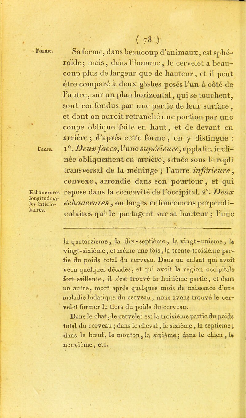 Forme. Faces. Echancrures longitudina- les interlo- baires. ( 78 .) Sa forme, dans beaucoup d^anlmaux, est sphé- roïde ; mais , dans l’iiomme, le cervelet a beau- coup plus de largeur que de hauteur, et il peut être comparé à deux globes posés l’un à côté de l’autre, sur un plan horizontal, qui se touchent, sont confondus par une partie de leur surface, et dont on auroit retranché une portion par une coupe oblique faite en haut, et de devant en arrière ; d’après cette forme, on y distingue : 1®. Deux faces J l’une supérieure, applatie, incli- née obliquement en arrière, située sous le repli transversal de la méninge 5 l’autre inférieure , convexe, arrondie dans son pourtour, et qui repose dans la concavité de l’occipital. 2°. Deux échancrures , ou larges enfoncemens perpendi- culaires qui le partagent sur sa hauteur ; l’une la quatorzième, la dix - septième , la vingt-unième, la vingt-sixième, et même une fois, la trente-troisième par- tie du poids total du cerveau. Dans un enfant qui avoit vécu quelques décades, et qui avoit la région occipitale fart saillante, il s’est trouvé la huitième partie, et dans un autre, mort après quelques mois de naissance d’une maladie hidatique du cerveau, nous avons trouvé le cer- velet former le tiers du poids du cerveau. Dans le chat, le cervelet est la troisième partie du poids total du cerveau j dans le cheval, la sixième, la septième ; dans le bœuf, le mouton, la sixième 5 dans le chien , la neuvième, etc.