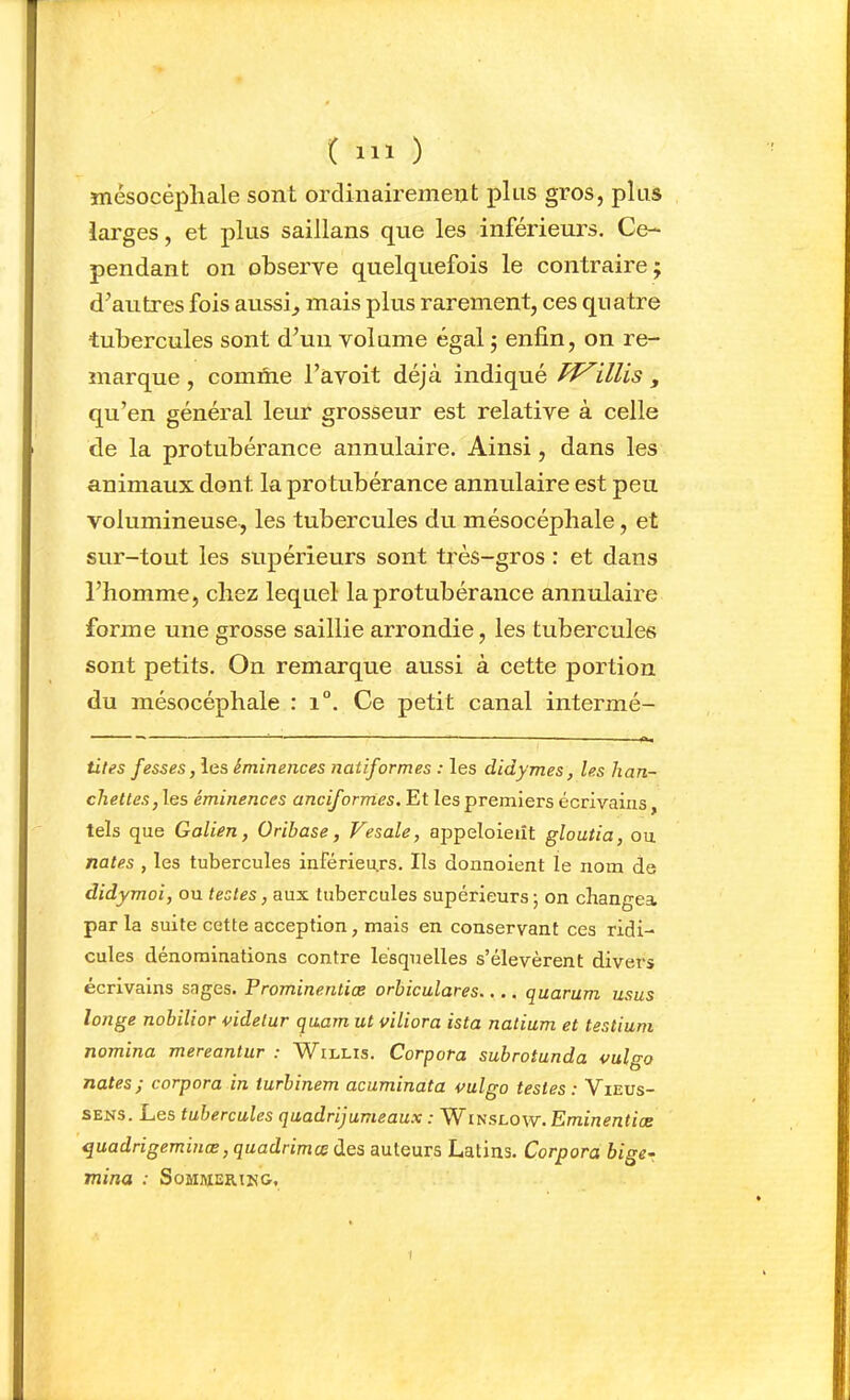 mésocéphale sont ordinairement plus gros, plus larges, et plus saillans que les inférieurs. Ce- pendant on observe quelquefois le contraire ; d’autres fois aussi^ mais plus rarement, ces quatre tubercules sont d’un volume égal ; enfin, on re- marque , comme l’avoit déjà indiqué illis , qu’en général leur grosseur est relative à celle de la protubérance annulaire. Ainsi, dans les animaux dont la pro tubérance annulaire est peu volumineuse, les tubercules du mésocéphale, et sur-tout les supérieurs sont très-gros : et dans l’homme, chez lequel la protubérance annulaire forme une grosse saillie arrondie, les tubercules sont petits. On remarque aussi à cette portion du mésocéphale : i°. Ce petit canal intermé- tifes fesses, les éminences natif ormes : les didymes, les han- cliettes, les éminences anciformes. Et les premiers écrivains, tels que Galien, Oribase, Vesale, appeloieût gloutia, ou notes , les tubercules inférieurs. Ils donnoient le nom de didymoi, ou testes, aux tubercules supérieurs; on changea par la suite cette acception, mais en conservant ces ridi- cules dénominations contre lesquelles s’élevèrent divers écrivains sages. Prominentiæ orbiculares.... quorum usas longe nobilior videtur quam ut viliora ista natium et testium nomina mereantur : W^illis. Corpora subrotunda vulgo notes; corporo in turbinem ocuminata vulgo testes: Vieus- SENS. Les tubercules quodrijumeaux : Winslow. Eminentiæ quadrigemmœ, quadrimœ des auteurs Latins. Corpora bige- mina : Somweiukg,