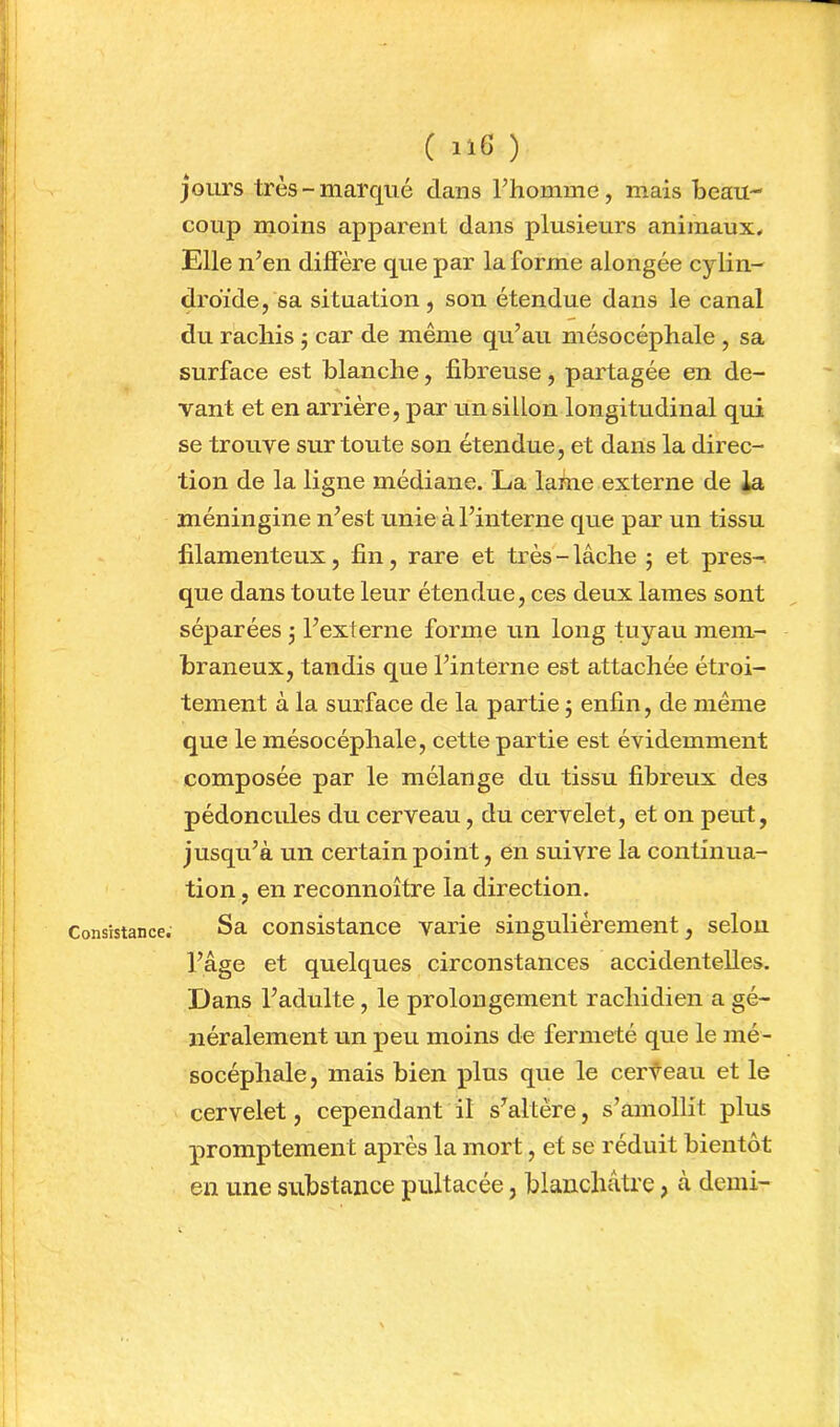 Consistancet' jours très - marqué dans l’homme, mais beau- coup moins apparent dans plusieurs animaux. Elle n’en diffère que par la forme alongée cylin- droïde, sa situation, son étendue dans le canal du rachis ; car de même qu’au mésocéphale , sa surface est blanche, fibreuse, partagée en de- vant et en arrière, par un sillon longitudinal qui se trouve sur toute son étendue, et dans la direc- tion de la ligne médiane. La lame externe de la méningine n’est unie à l’interne que par un tissu filamenteux, fin, rare et très - lâche 5 et près-, que dans toute leur étendue, ces deux lames sont séparées j l’externe forme un long tuyau mem- braneux, tandis que l’interne est attachée étroi- tement à la surface de la partie j enfin, de même que le mésocéphale, cette partie est évidemment composée par le mélange du tissu fibreux des pédoncules du cerveau, du cervelet, et on peut, jusqu’à un certain point, en suivre la continua- tion , en reconnoître la direction. Sa consistance varie singulièrement, selon l’âge et quelques circonstances accidentelles. Dans l’adulte, le prolongement rachidien a gé- néralement un peu moins de fermeté que le mé- socéphale, mais bien plus que le cerf eau et le cervelet, cependant il s’altère, s’amollit plus promptement après la mort, et se réduit bientôt en une substance pultacée, blanchâtre, à demi-