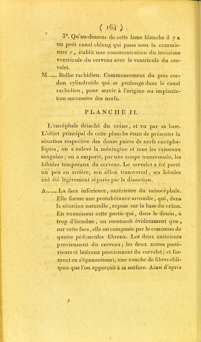 3®. Qu’au-dessous de cette lame blanche il y a un petit canal oblong qui passe sous la commis- sure c, établit une communication du troisième ventricule du cerveau avec le ventricule du cer- velet. M...... Bulbe rachidien. Commencement du gros cor- don cylindroïde qui se prolonge dans le canal rachidien, pour servir à l’origine ou implanta- tion successive des nerfs. PLANCHE II. L’encéphale détaché du crâne, et vu par sa base. L’objet principal de celte planche étant de présenter la situation respective des douze paires de nerfs encépha- liques , on a enlevé la méningine et tous les vaisseaux sanguins ; on a emporté, par une coupe transversale, les lobules temporaux du cerveau. Le cervelet a été porté un peu en arrière; son sillon transversal, ses lobules ont été légèrement séparés par la dissection. A La face inférieure, antérieure du mésocéphale. Elle forme une protubérance arrondie, qui, dan» la situation naturelle , repose sur la base du crâne. En examinant cette partie qui, dans le dessin, a trop d’étendue , on reconnoît évidemment que, sur cette face, elle est composée par le concours de quatre pédoncules fibreux. Les deux antérieurs proviennent du cer%'eau ; les deux autres i^oslé- rieurs et latéraux proviennent du cervelet ; et for- ment en s’épanouissant, une couche de fibres obli- k ques que l’on apperçoit à sa surface. Ainsi d’après