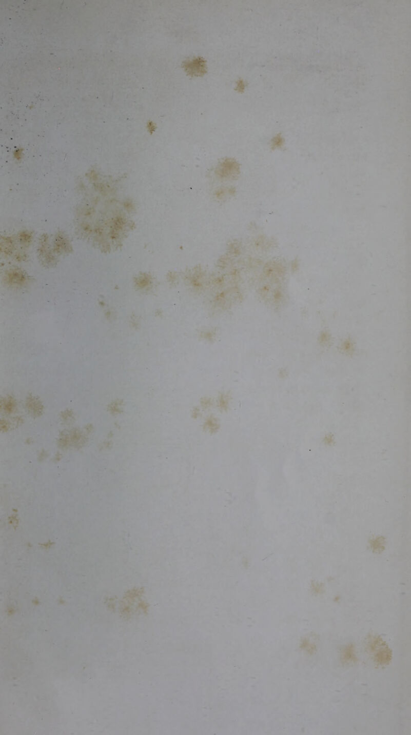 tf.'. v;: . : ■ •.■V i